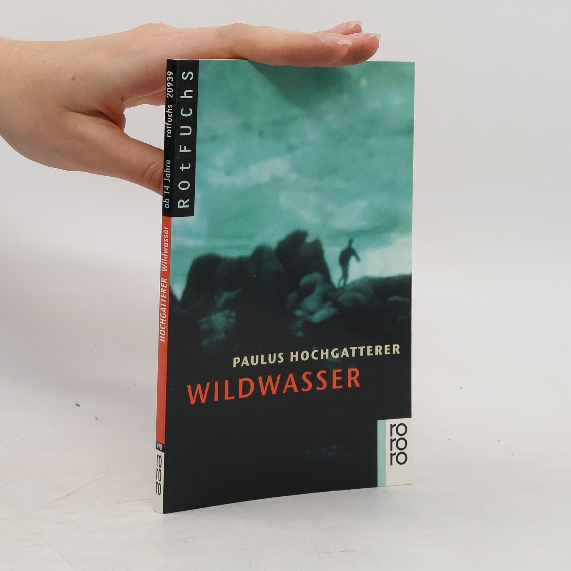 Paulus Hochgatterer Wildwasser