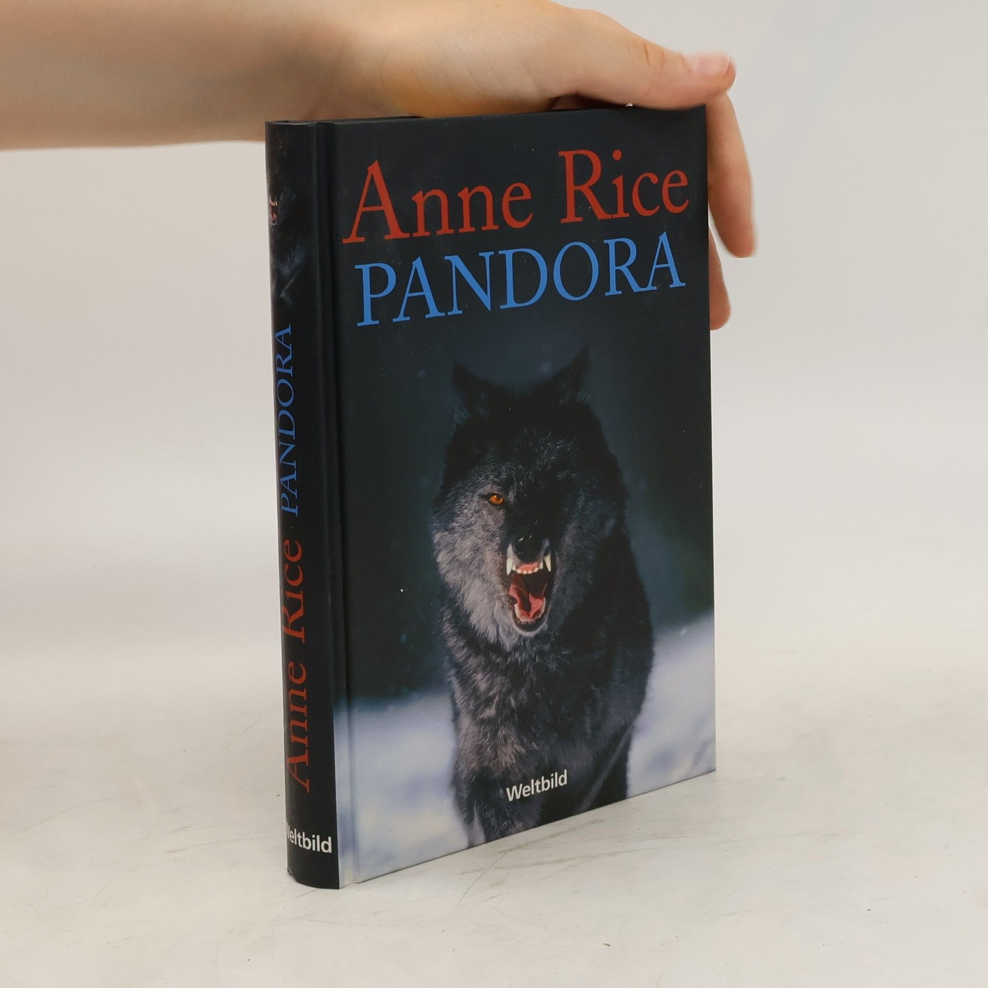 Anne Rice Memnoch der Teufel