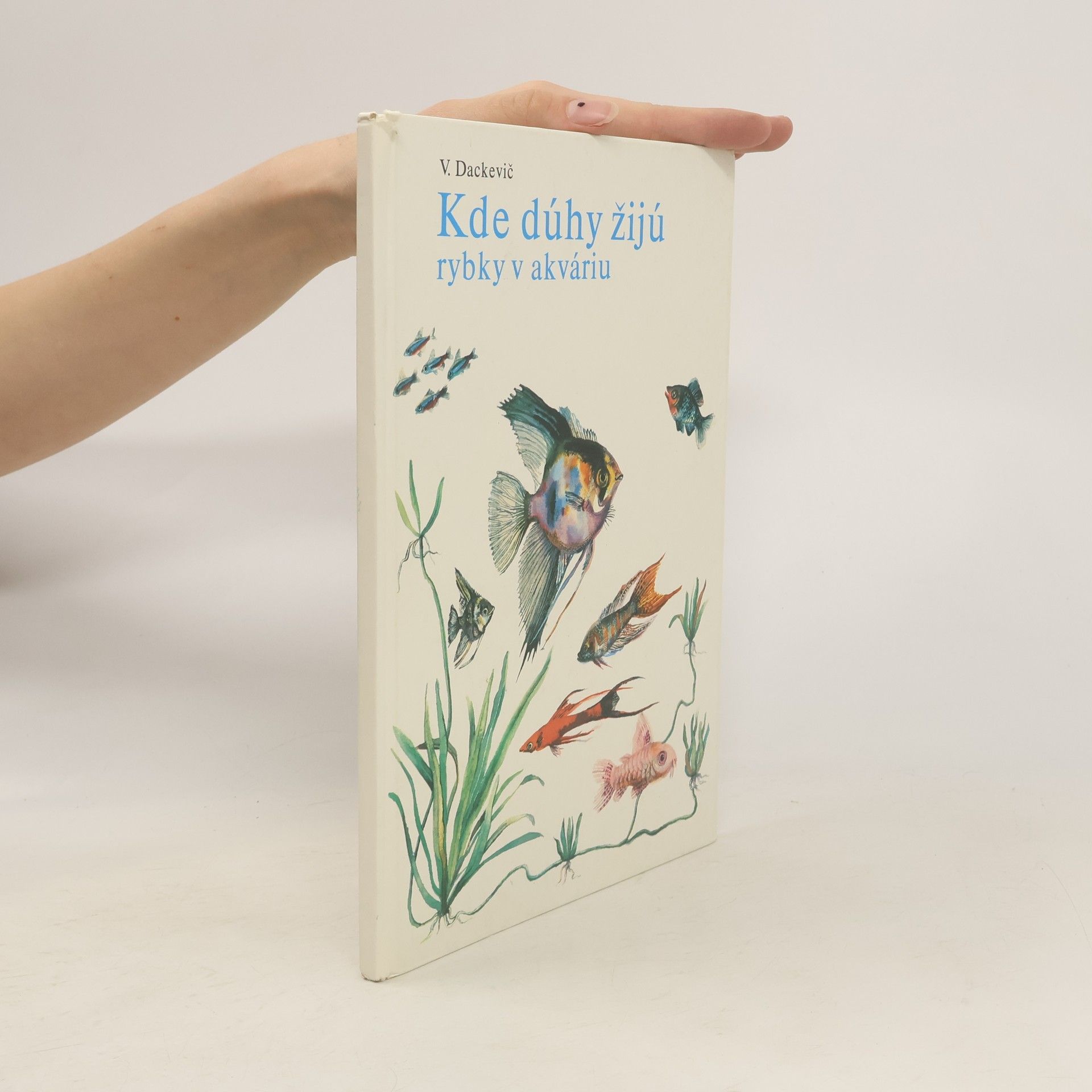 V. Dackevič Kde dúhy žijú. Rybky v akváriu