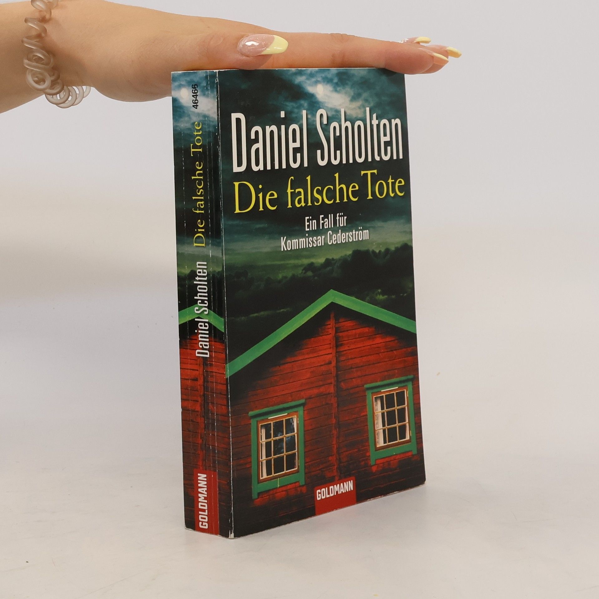 Daniel Scholten Die falsche Tote