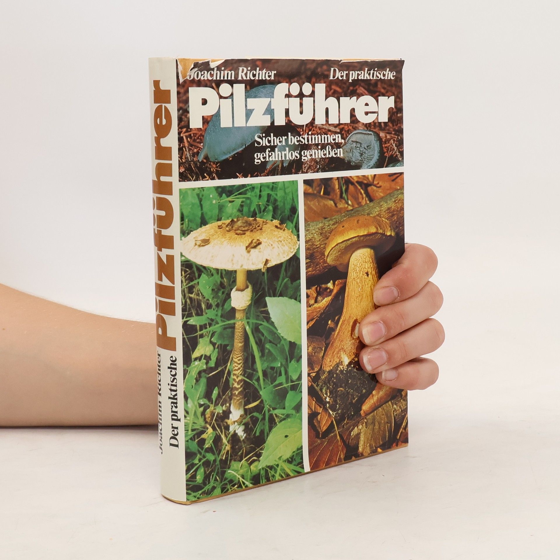Joachim Richter Der praktische Pilzführer