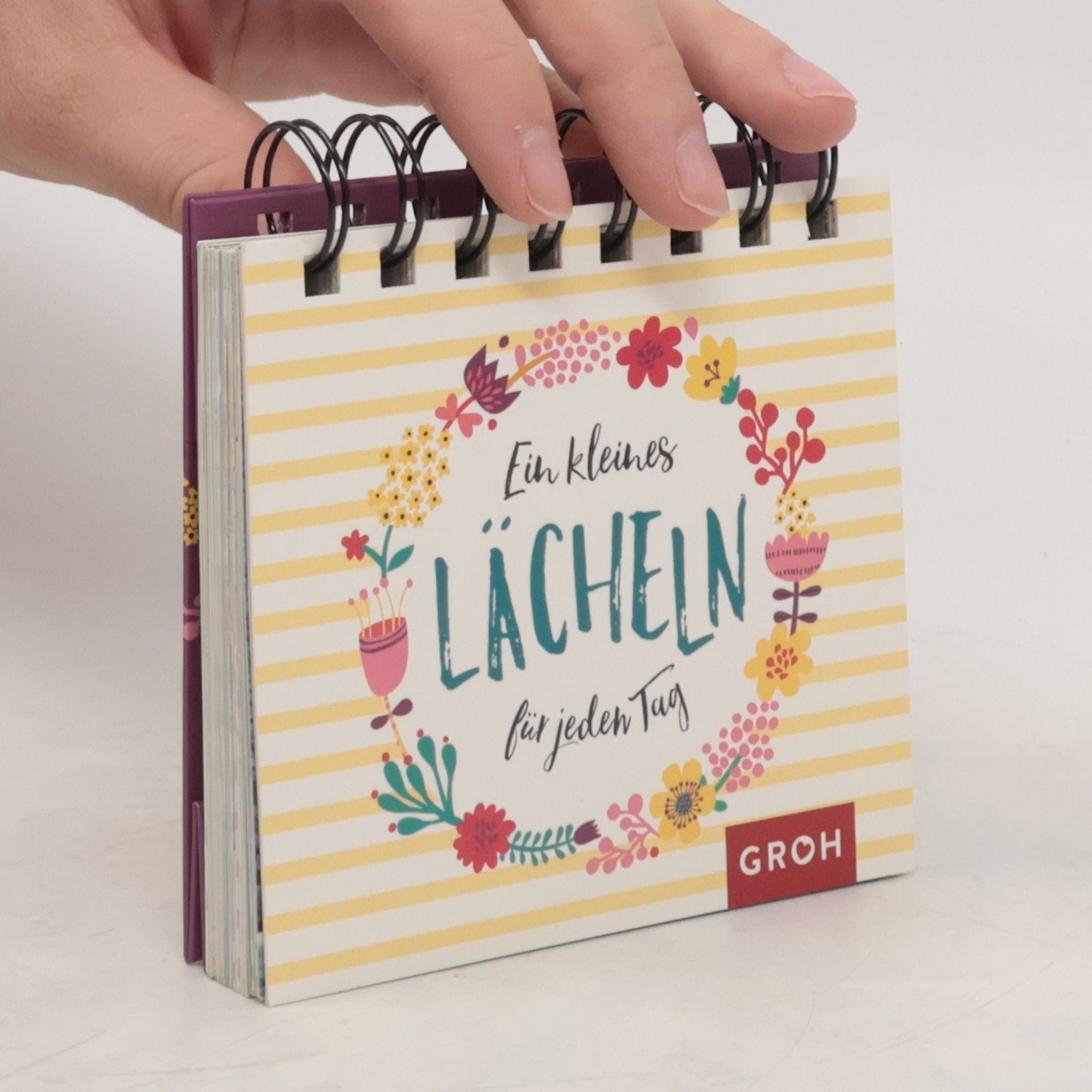 Autorenkollektiv Ein kleines Lächeln für jeden Tag