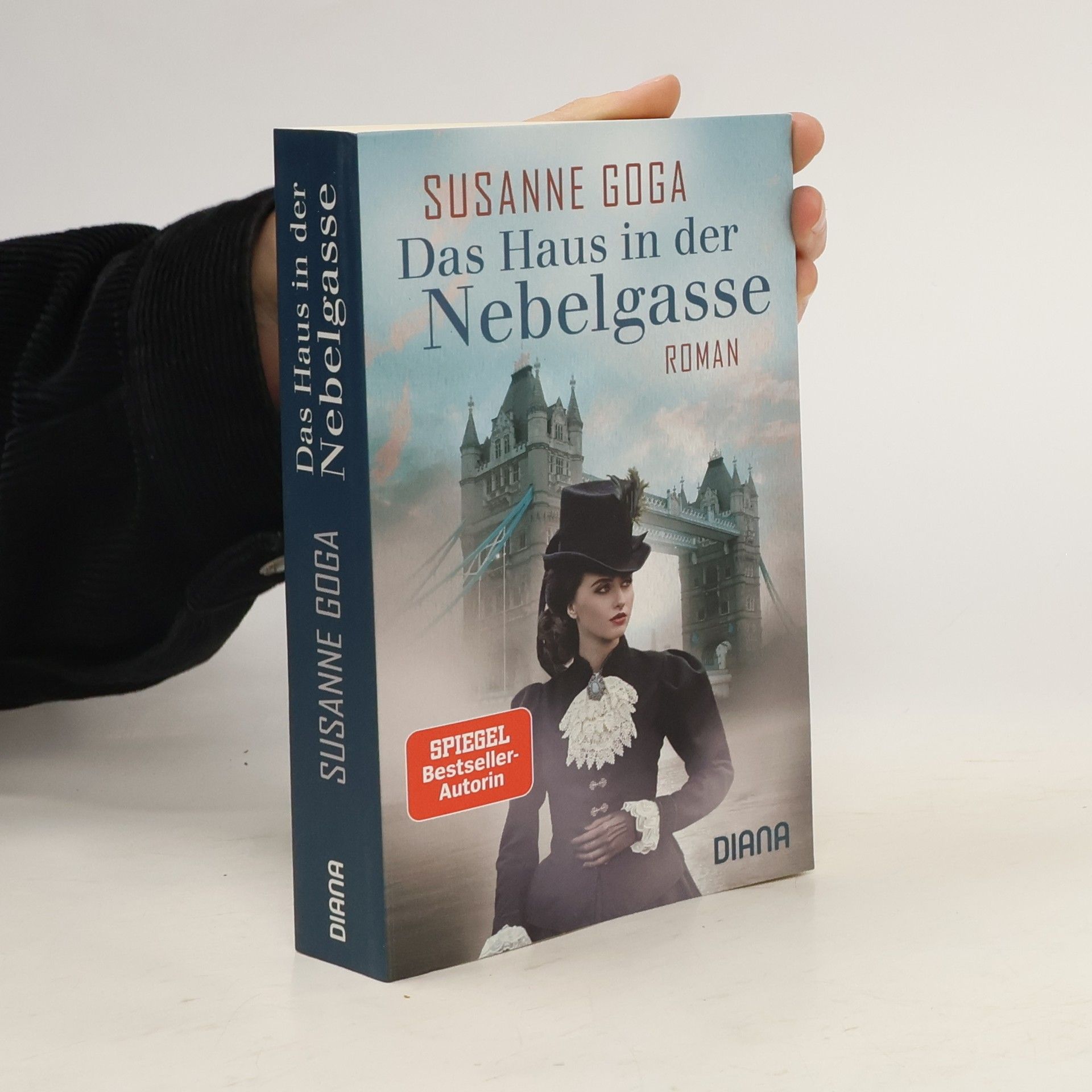 Susanne Goga Das Haus in der Nebelgasse