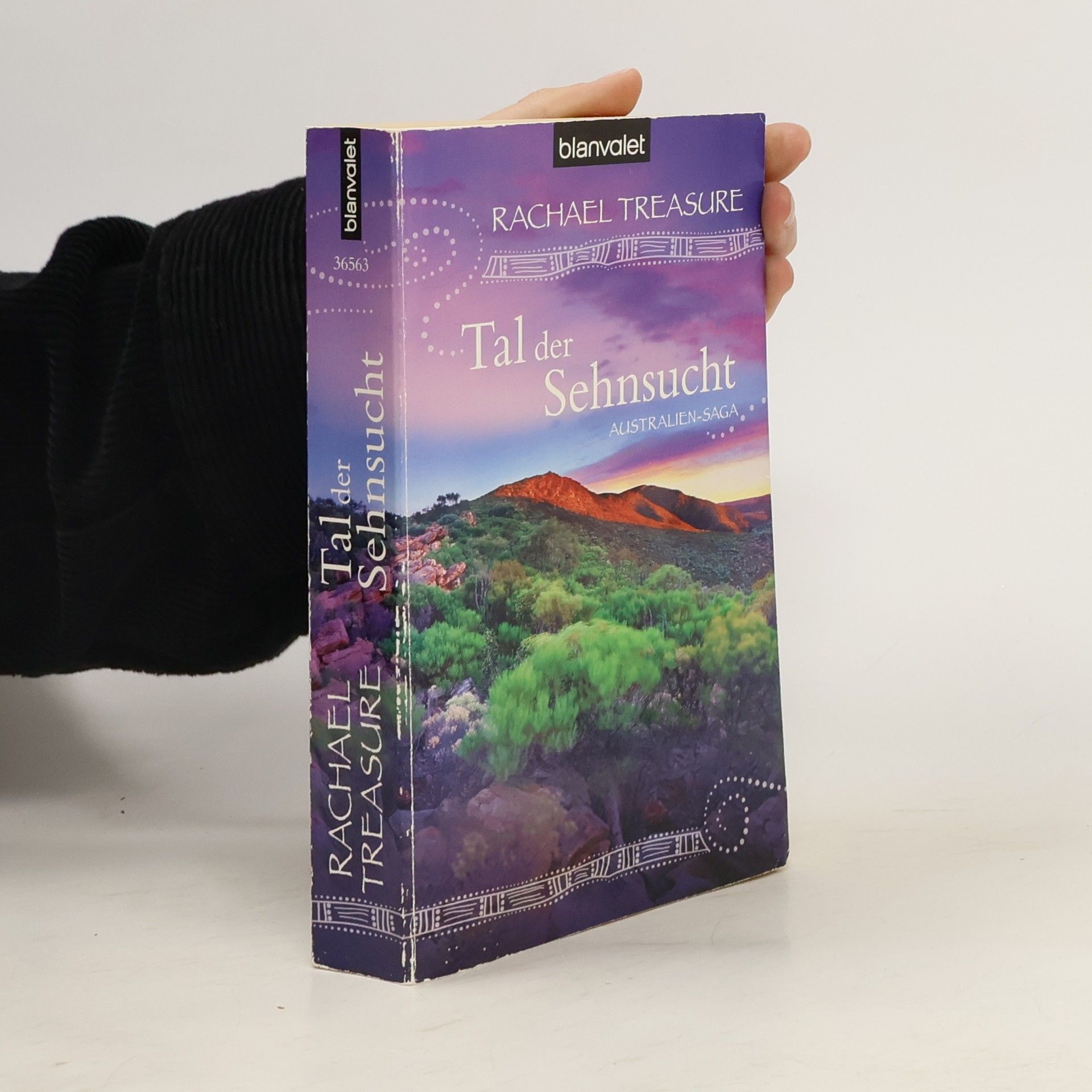 Rachael Treasure Tal der Sehnsucht