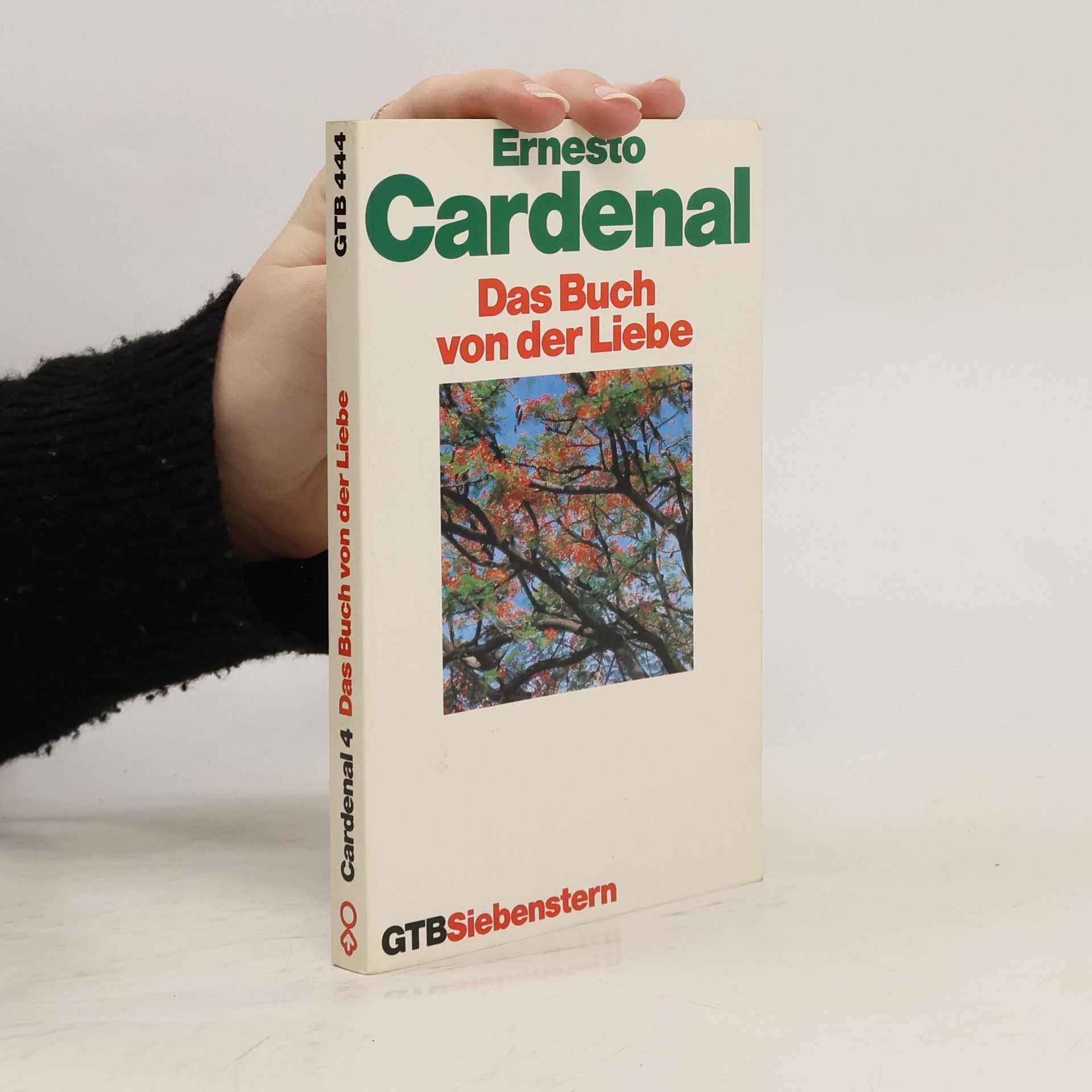 Ernesto Cardenal Das poetische Werk