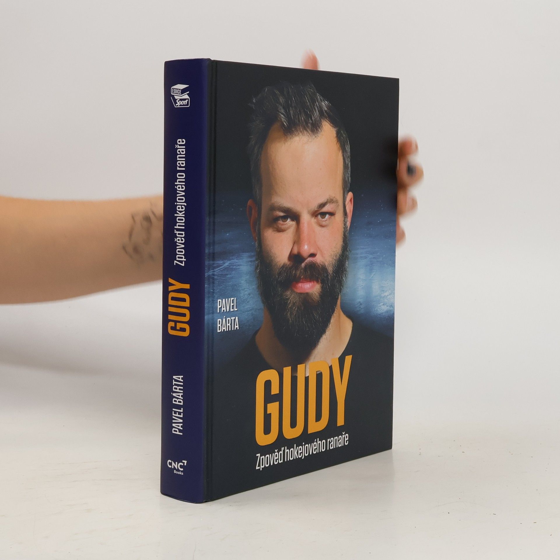 Pavel Bárta Gudy