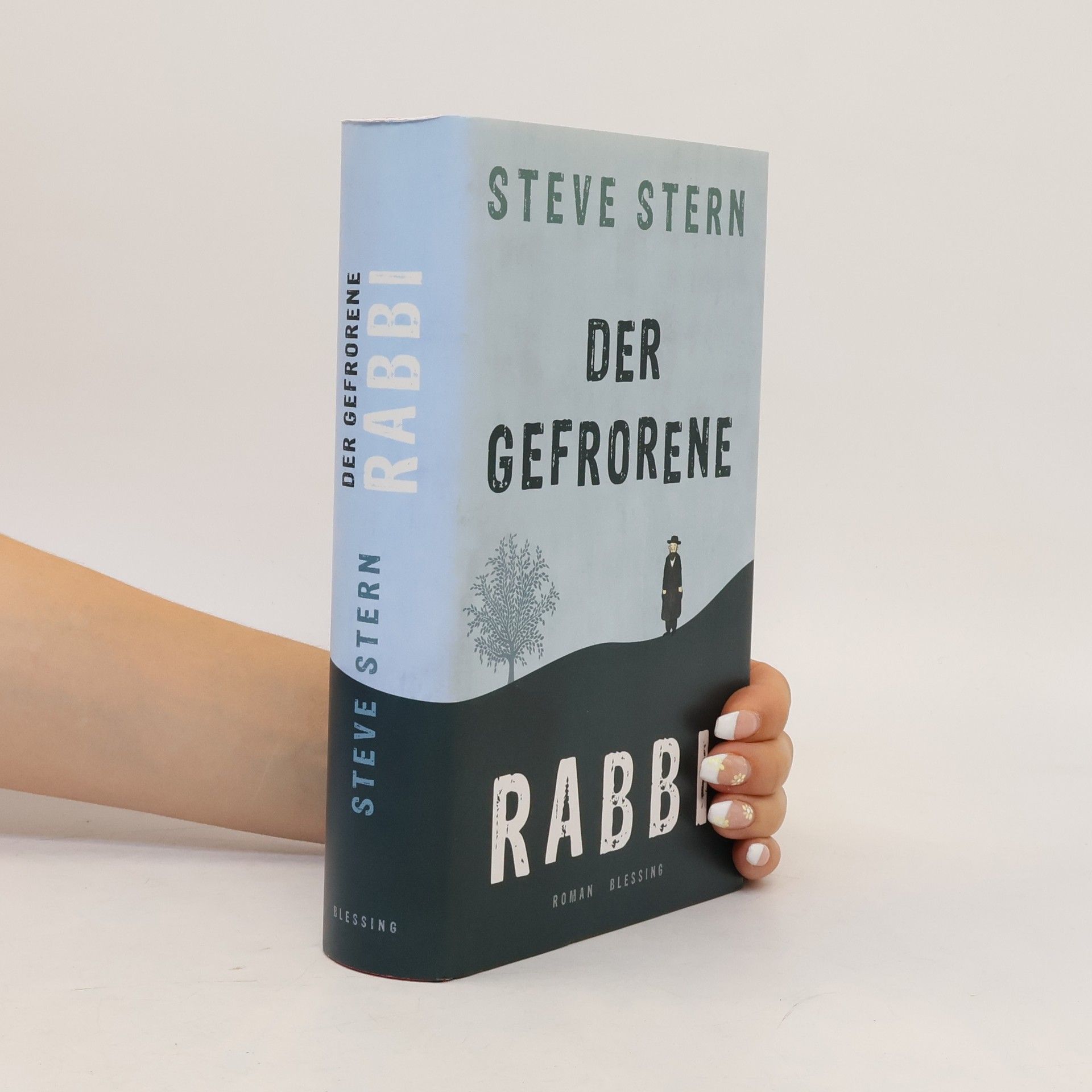 Steve Stern Der gefrorene Rabbi