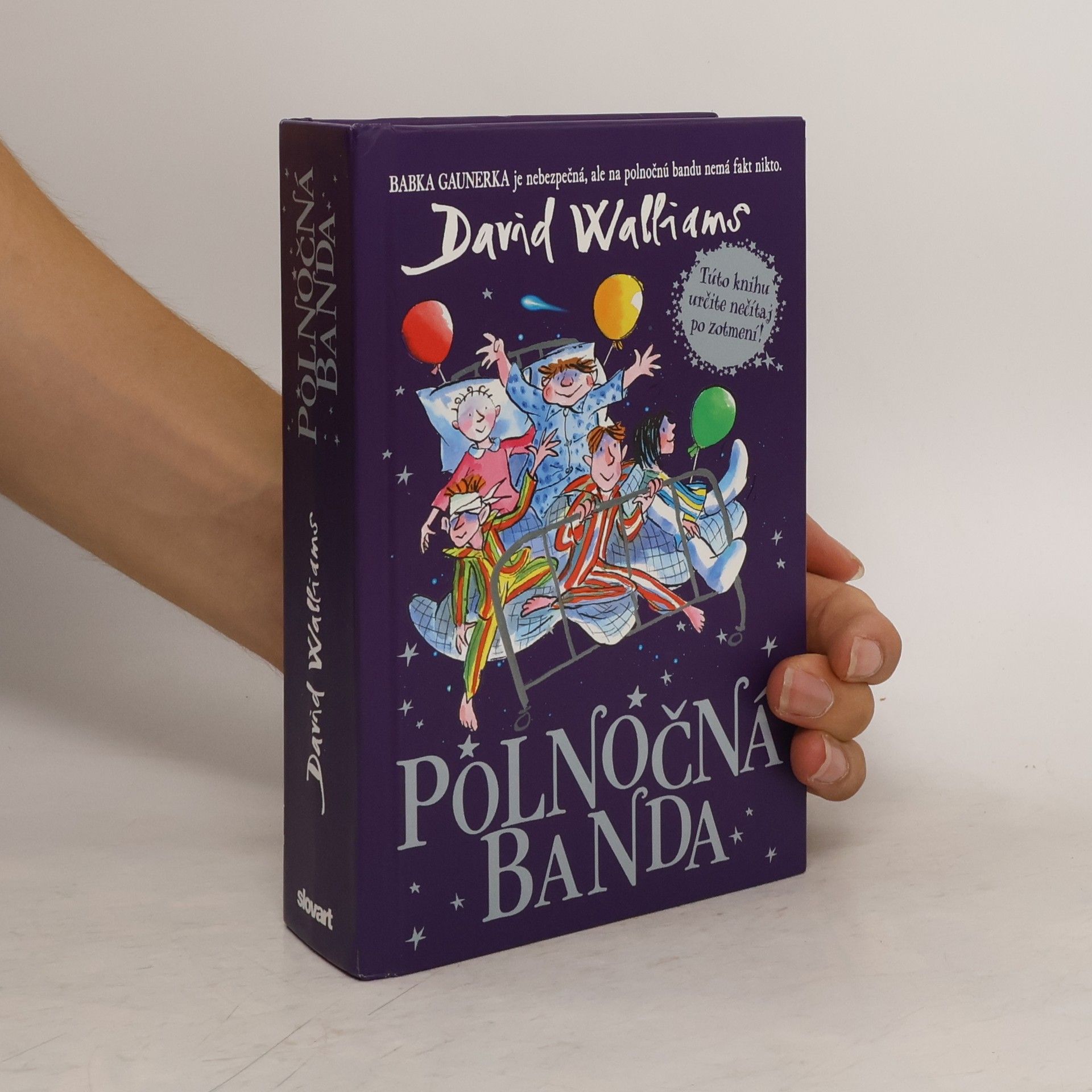 David Walliams Polnočná banda