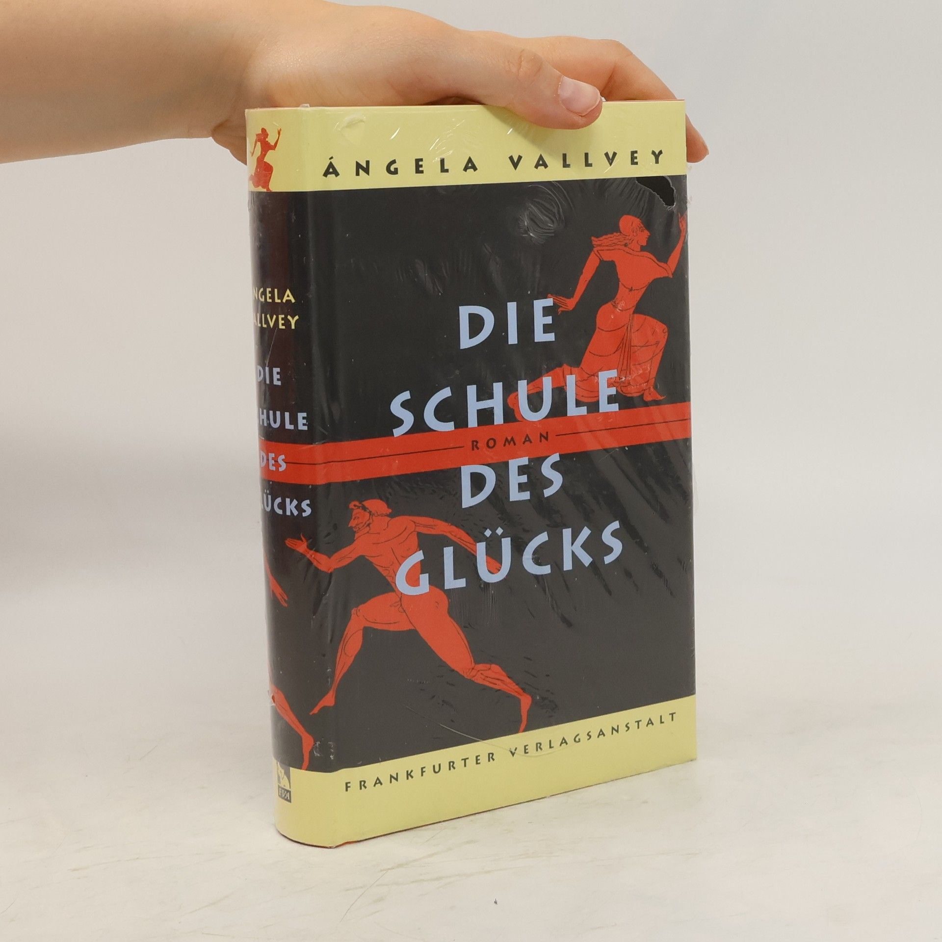 A. ngela Vallvey Die Schule des Glücks