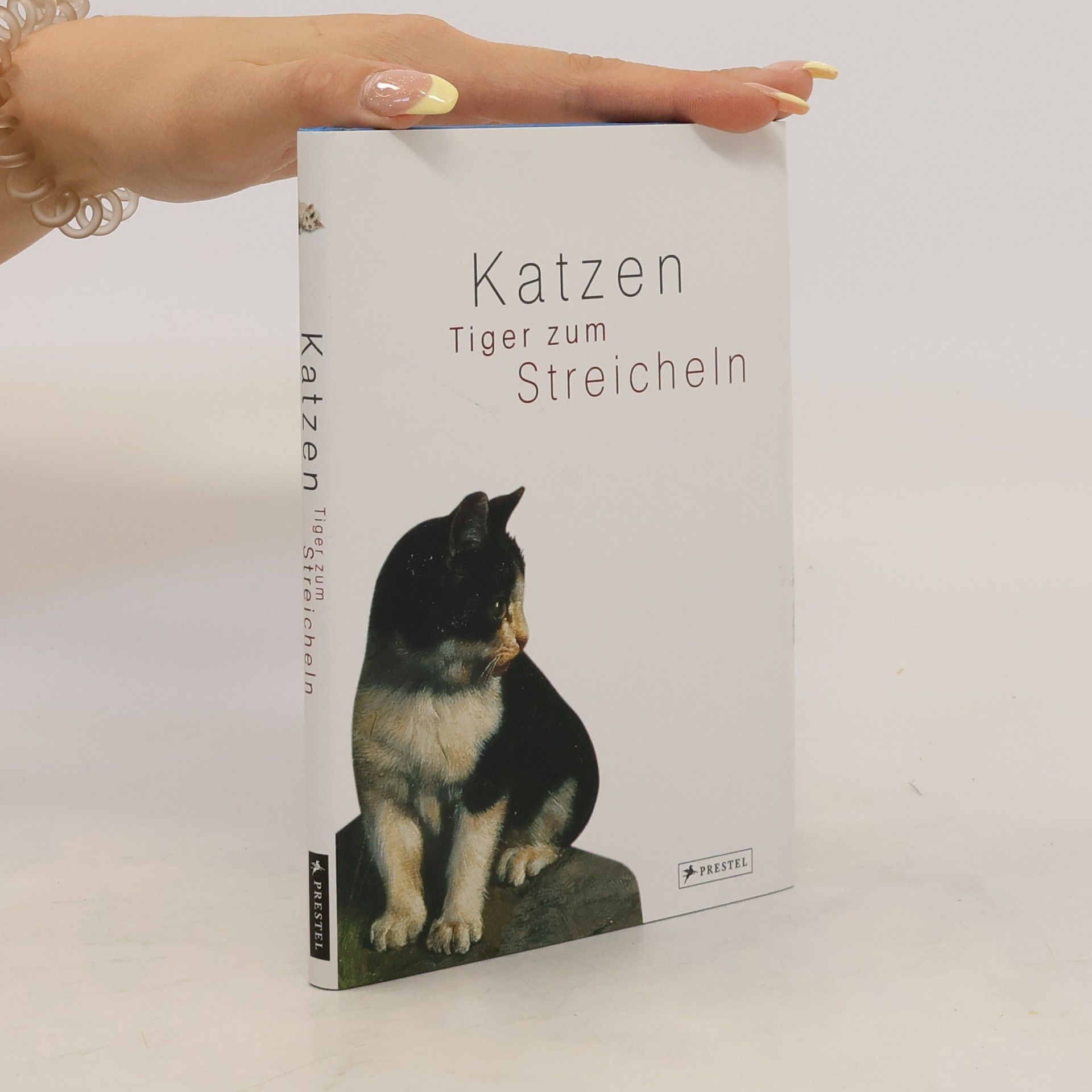 Eva Rosenkranz Katzen : Tiger zum Streicheln
