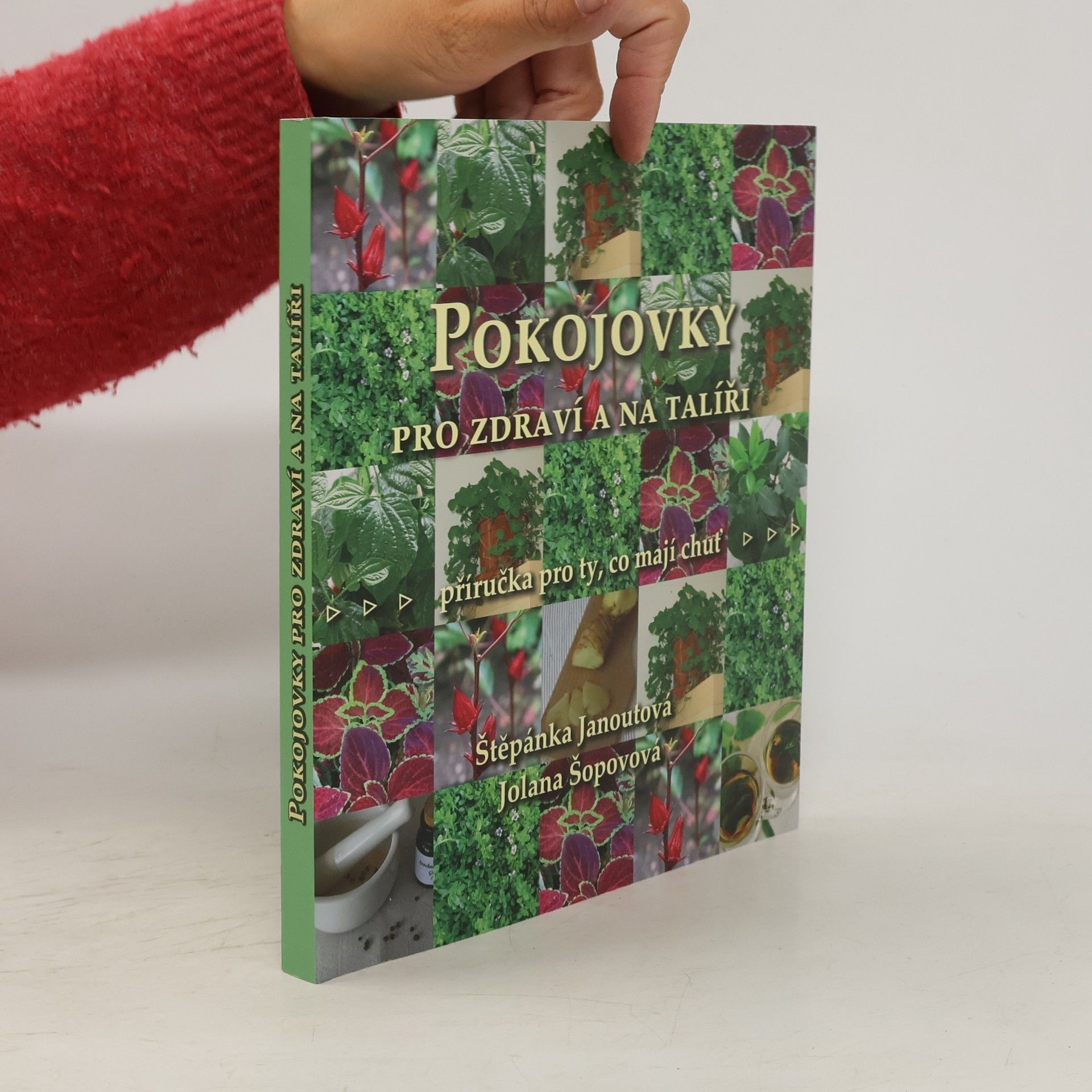Jolana Křížkovská Pokojovky pro zdraví a na talíři