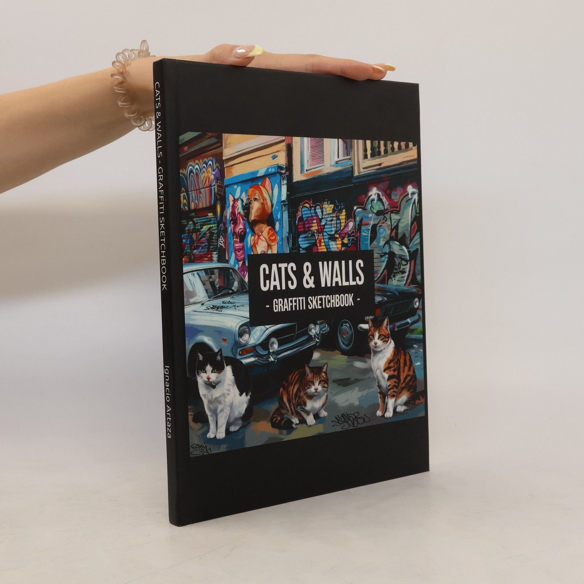 Ignacio Artaza Cats & Walls - Graffiti Sketchbook