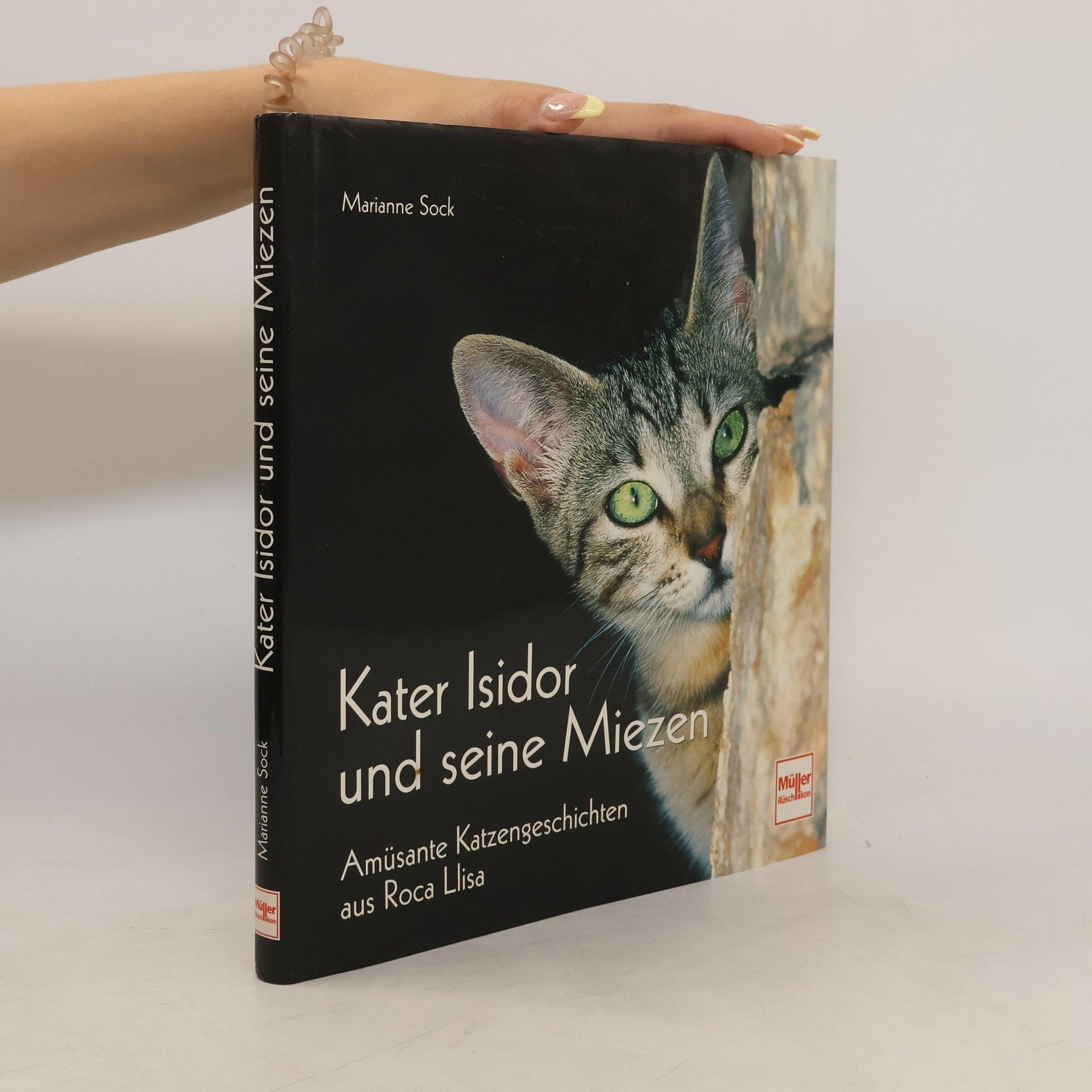 Marianne Sock Kater Isidor und seine Miezen