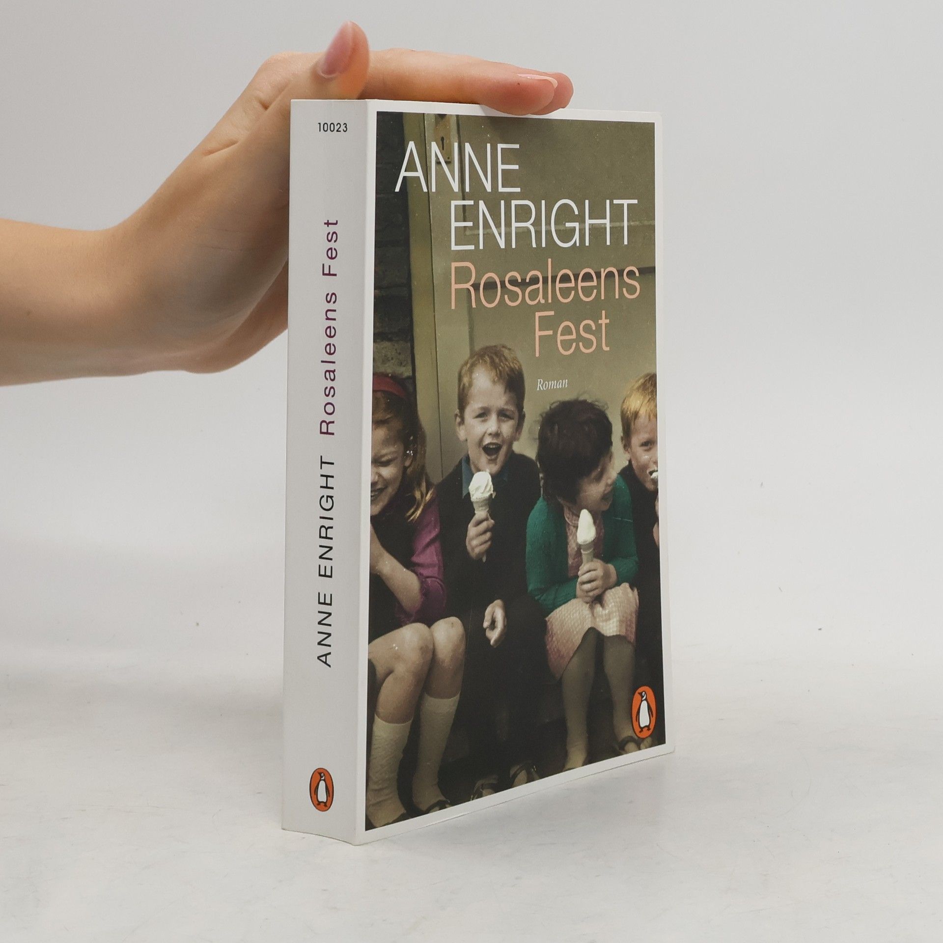 Anne Enright Rosaleens Fest