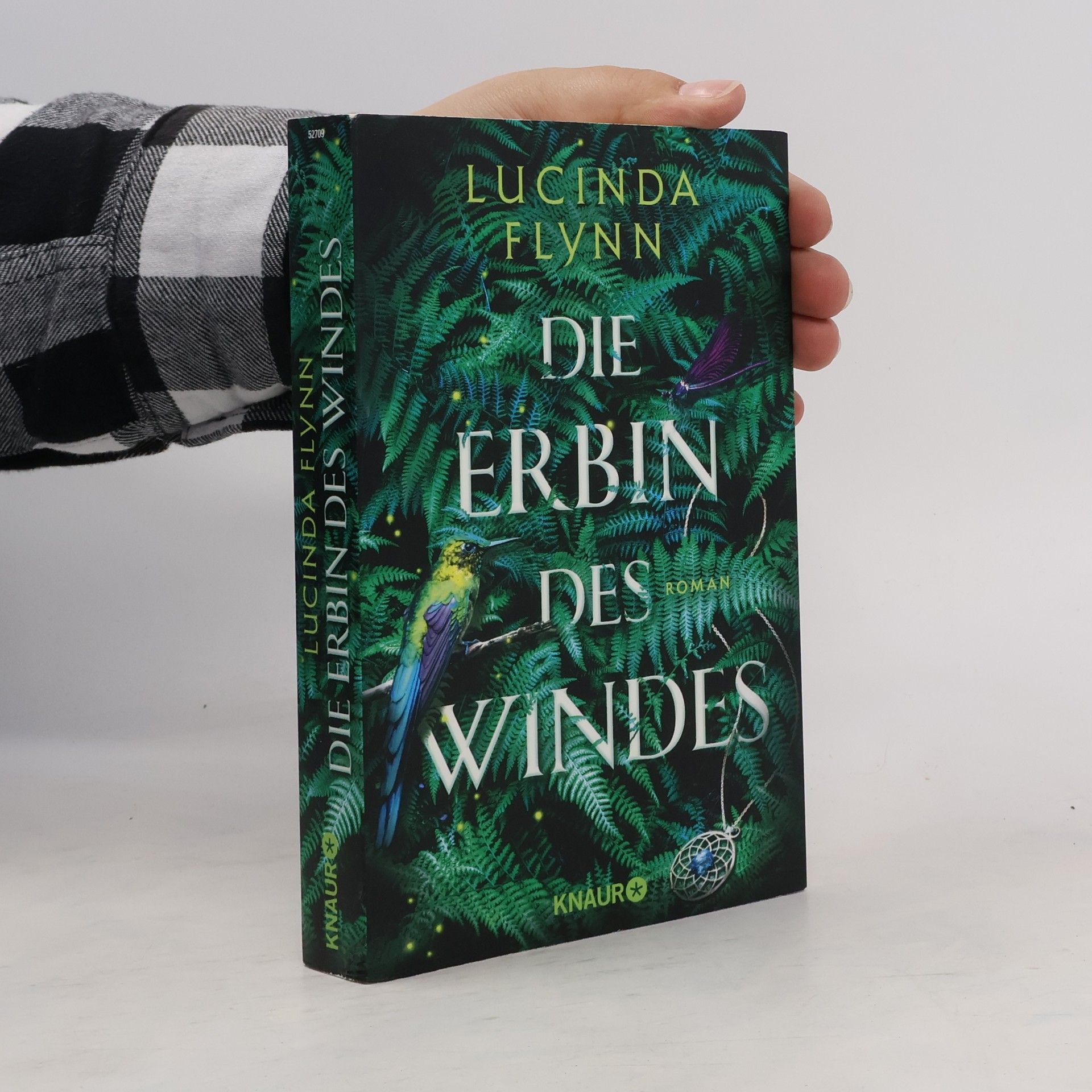 Lucinda Flynn Die Erbin des Windes