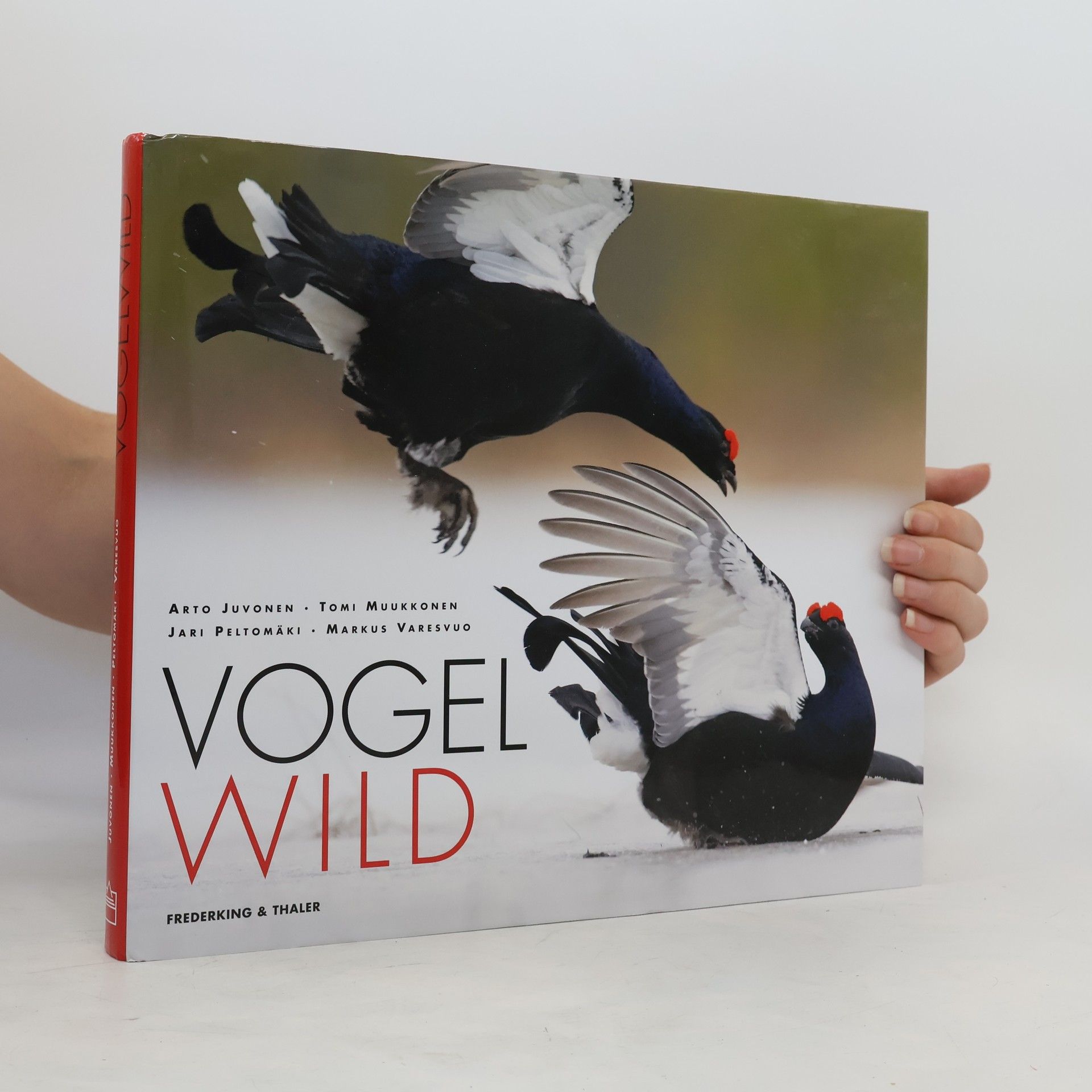 Arto Juvonen Vogelwild