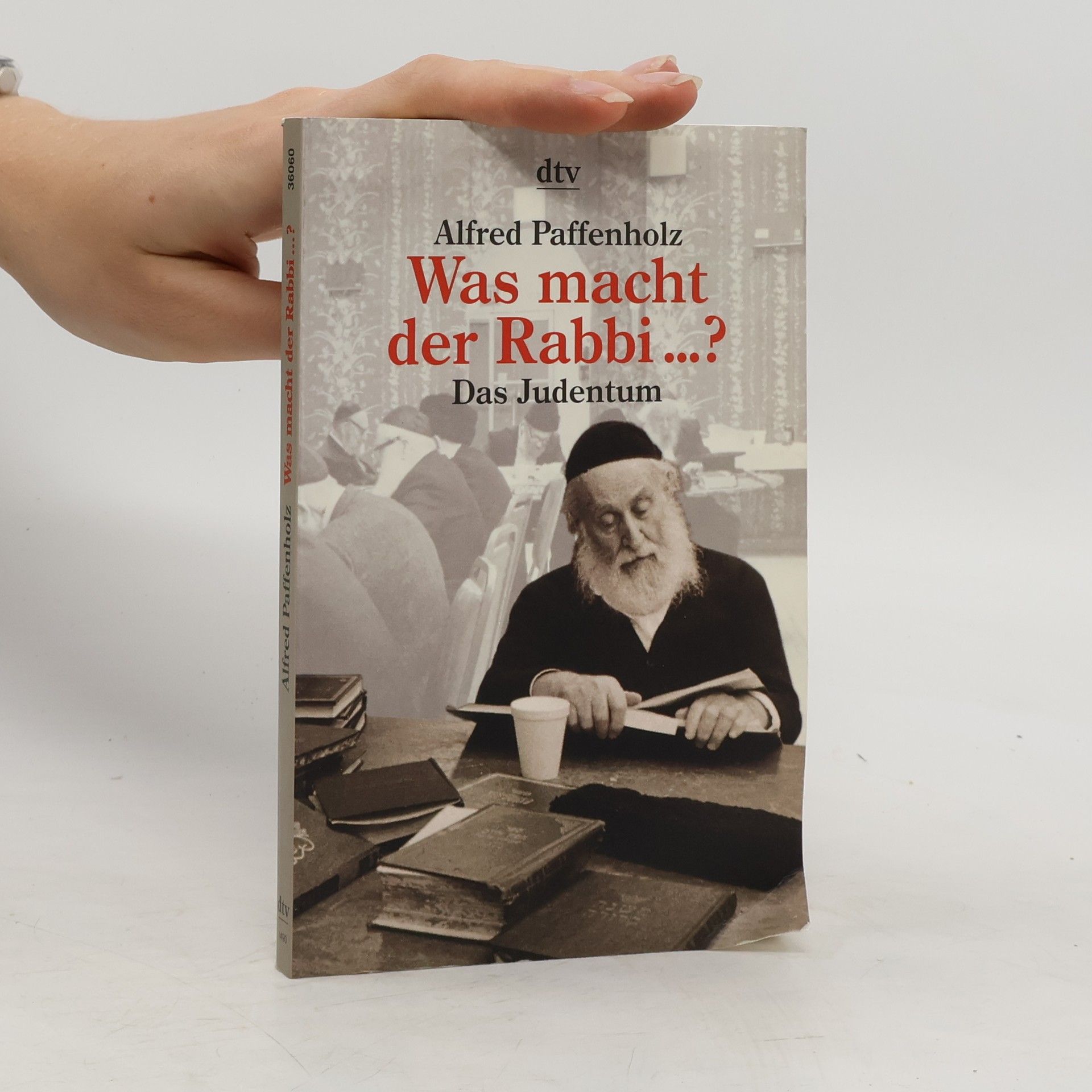 Alfred Paffenholz Was macht der Rabbi den ganzen Tag