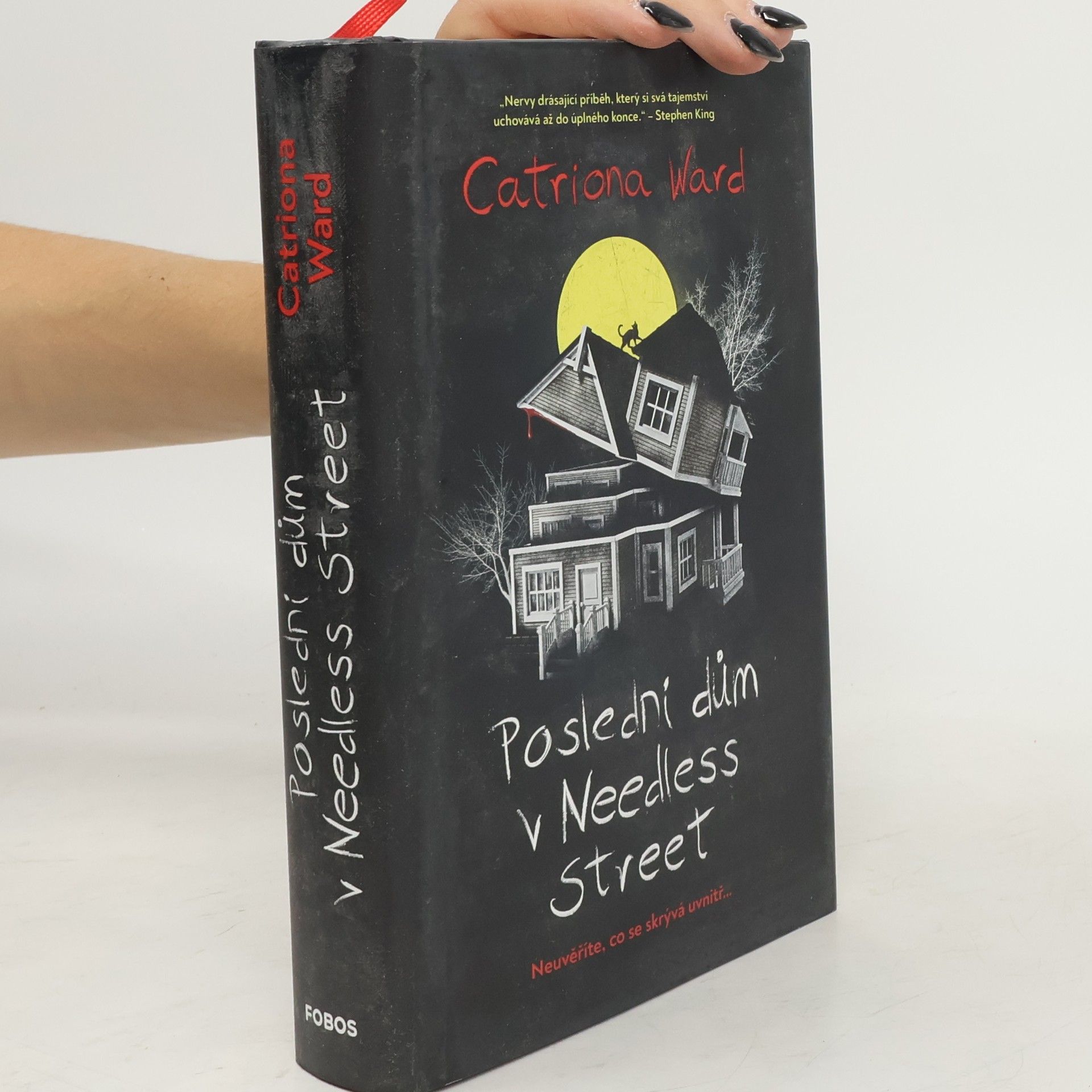 Catriona Ward Poslední dům v Needless Street