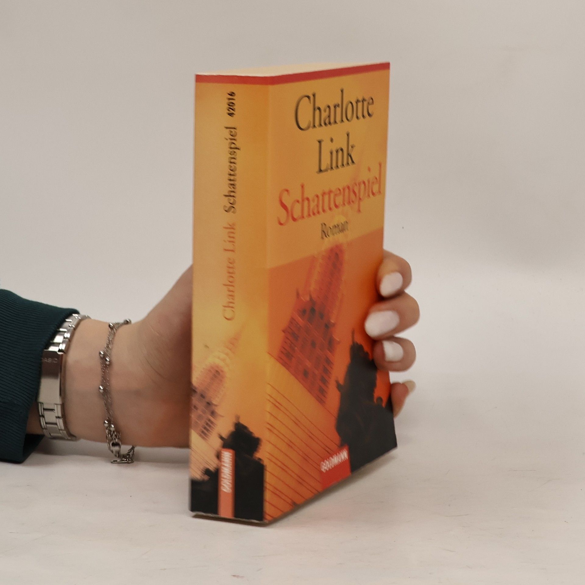 Charlotte Link Schattenspiel