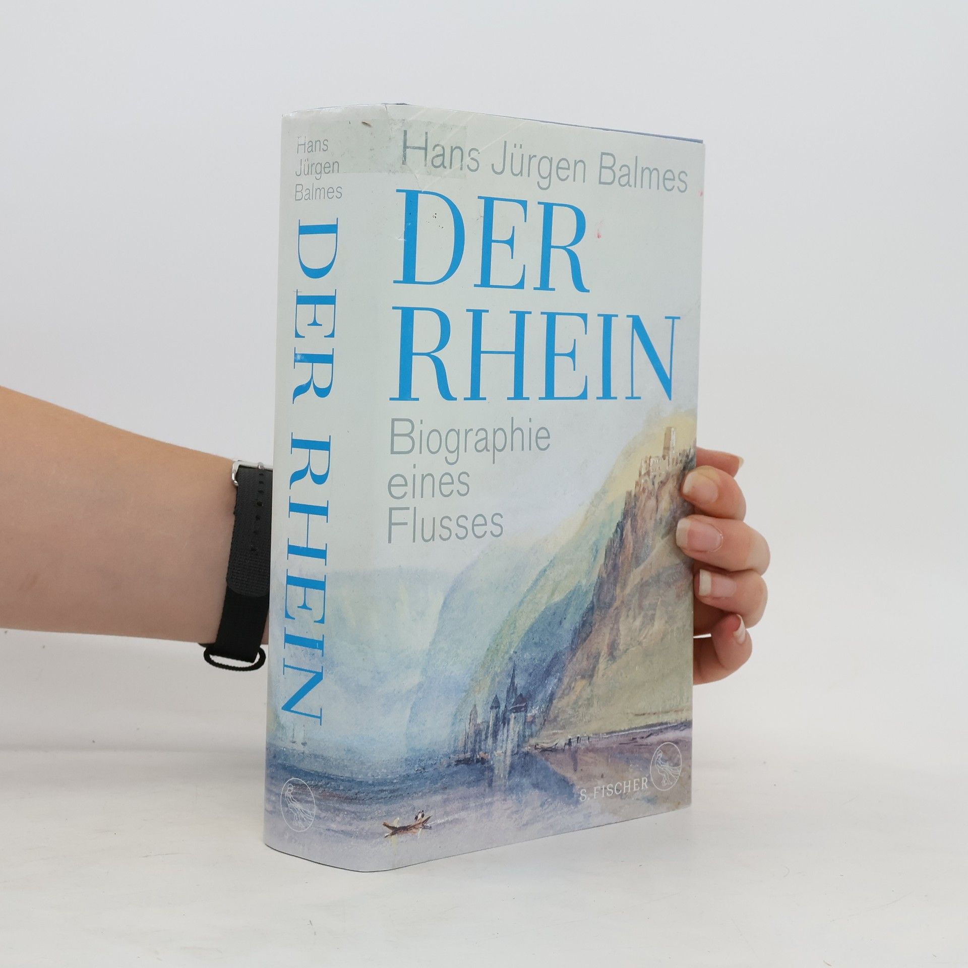 Hans-Jürgen Balmes Der Rhein