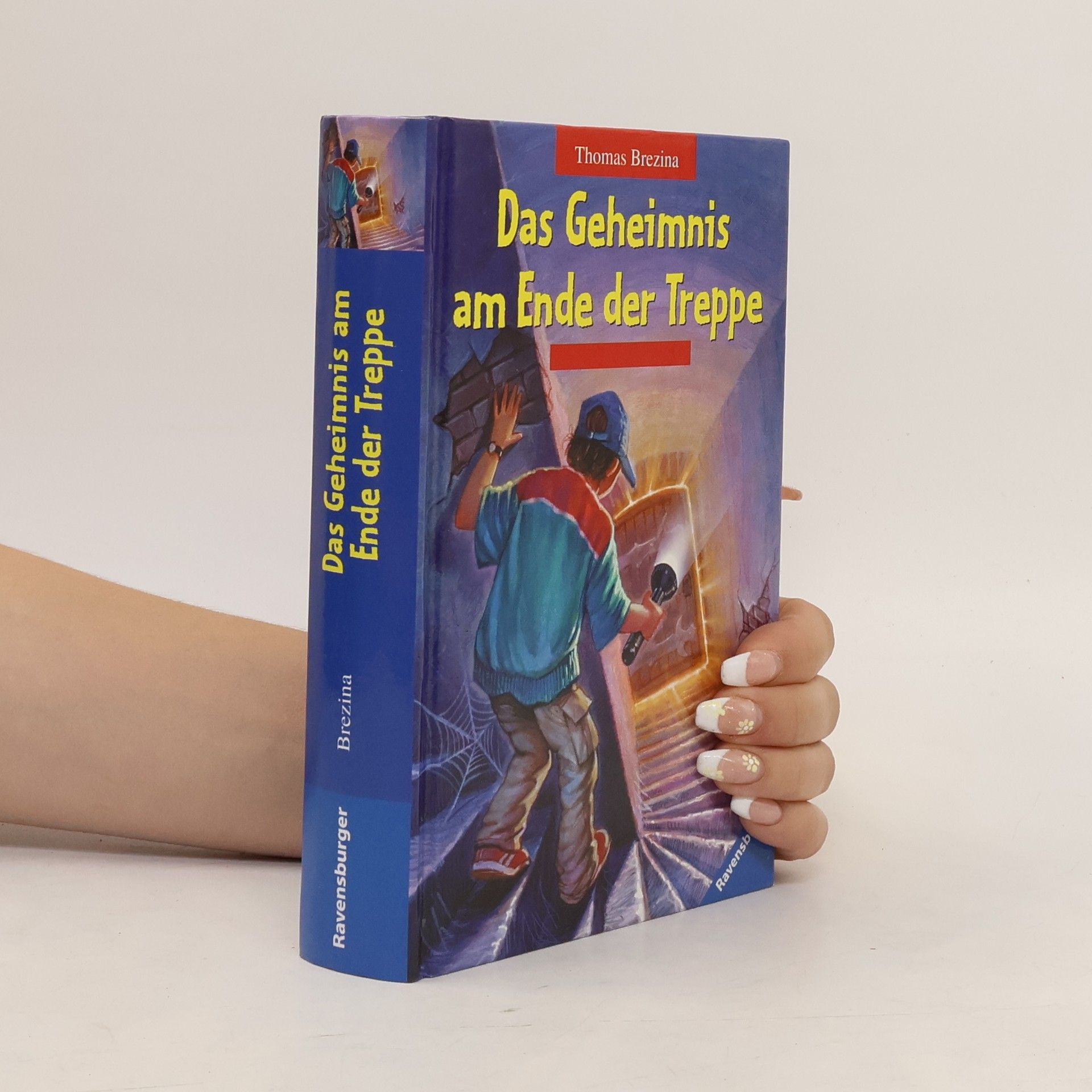 Thomas Brezina Das Geheimnis am Ende der Treppe
