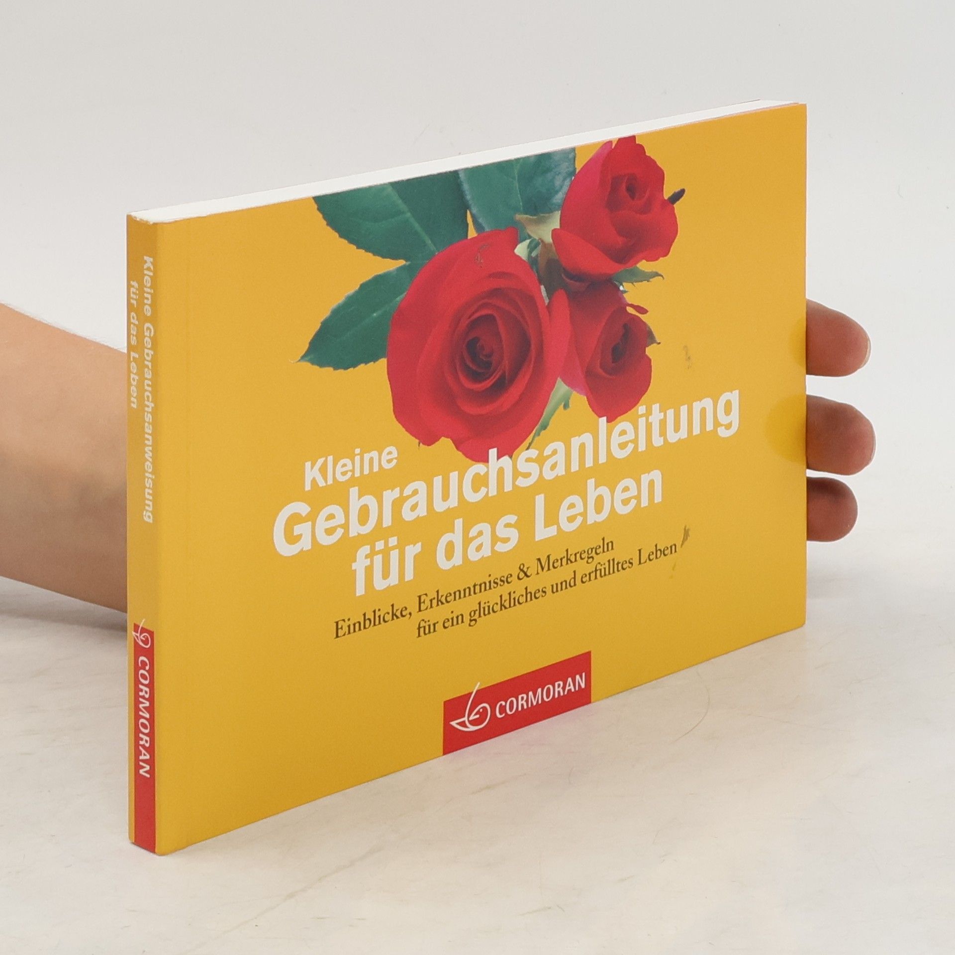 kolektiv Eine kleine Gebrauchsanweisung für das Leben