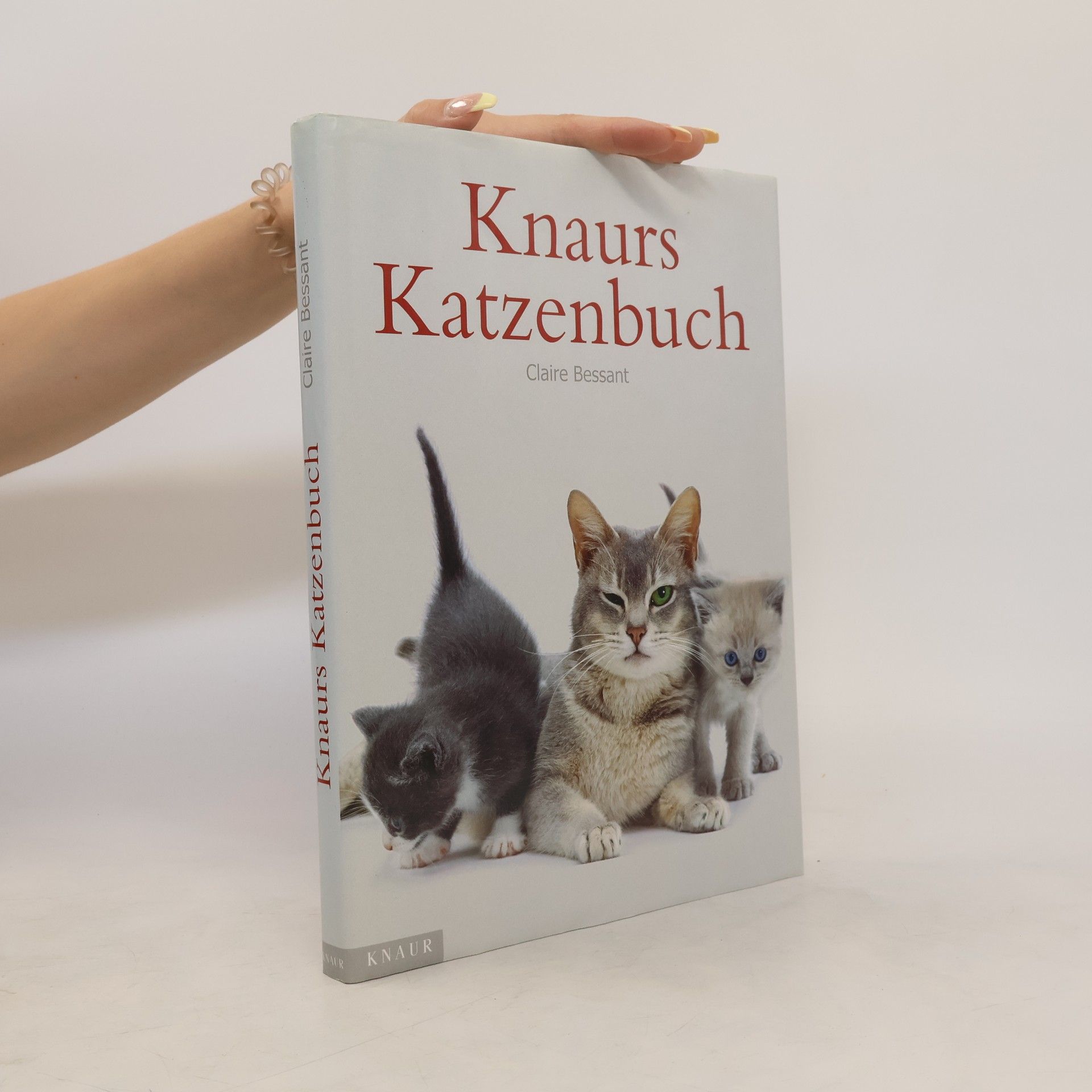Claire Bessant Knaurs Katzenbuch