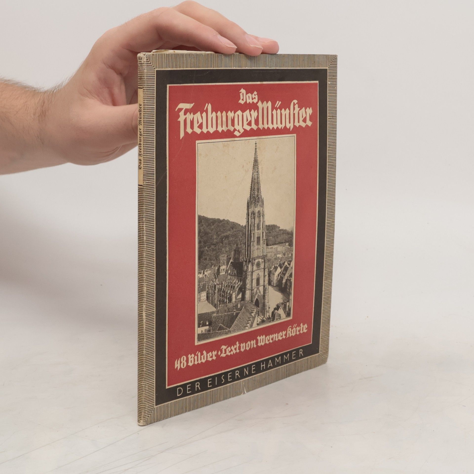 Werner Korte Das Freiburger Münster. 48 Bilder mit einführendem