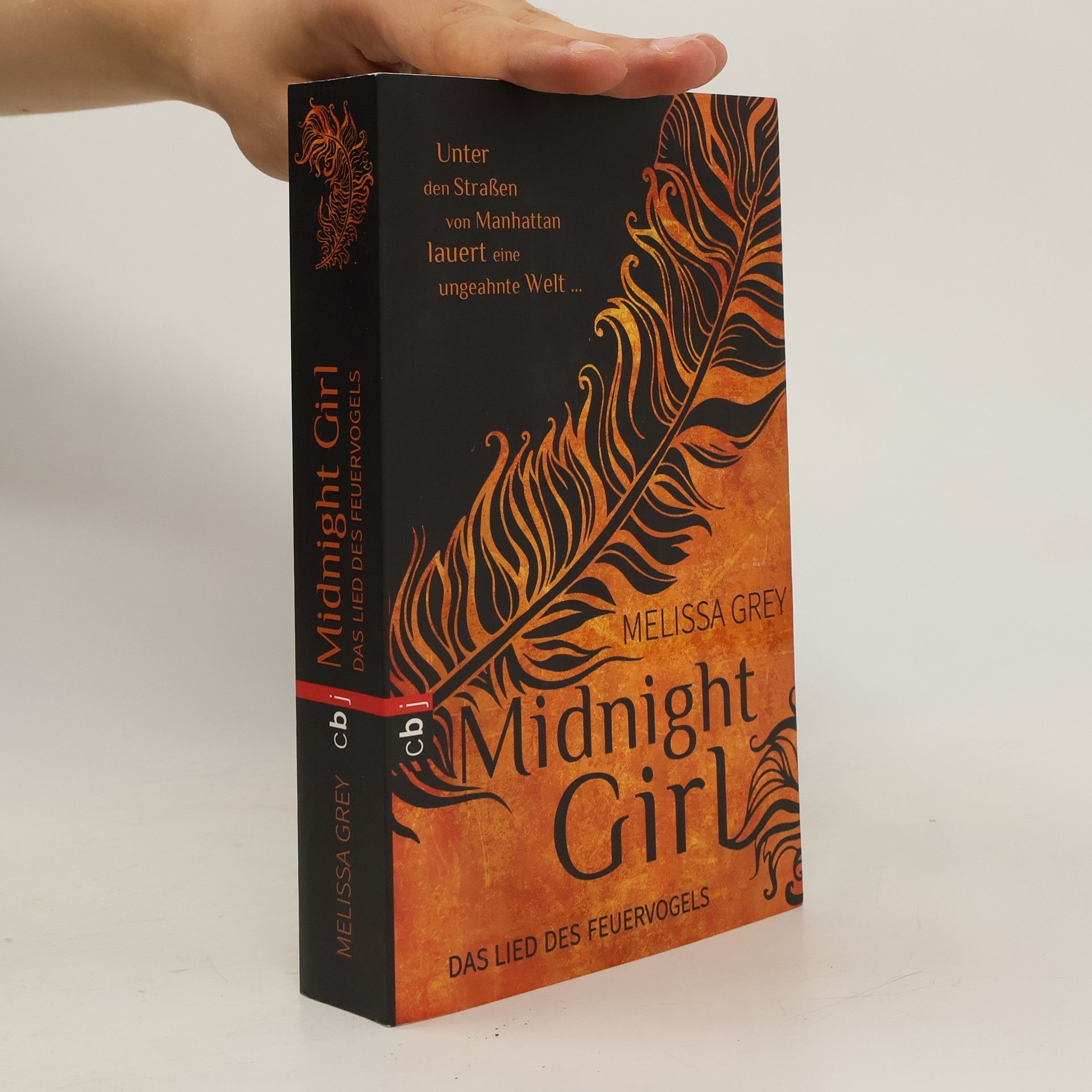 Melissa Grey Midnight Girl: Das Lied des Feuervogels