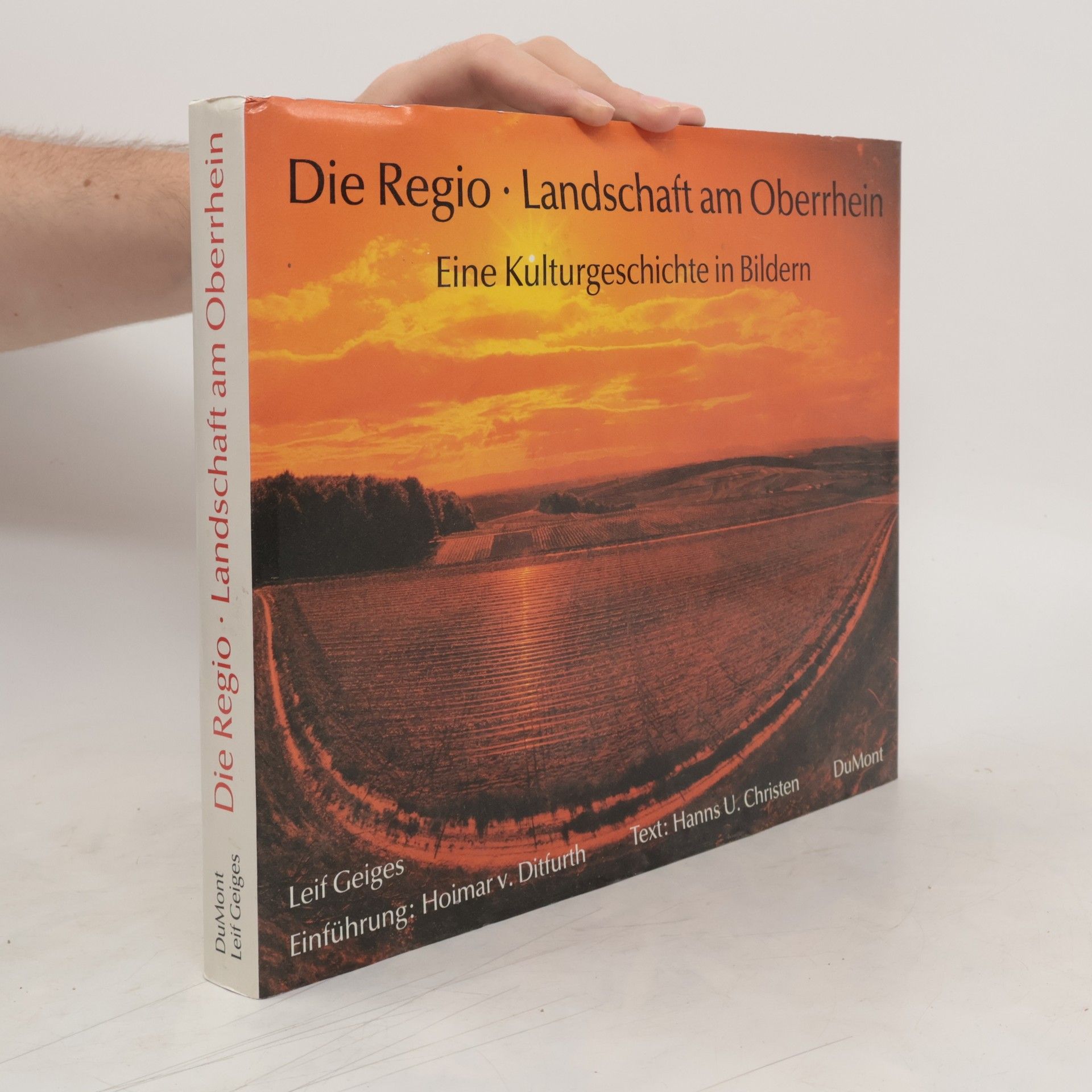 Leif Geiges Die Regio, Landschaft am Oberrhein
