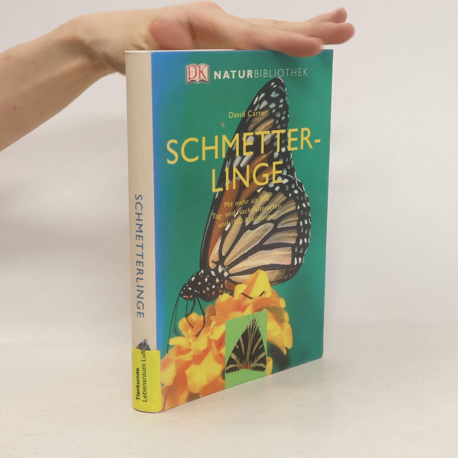David Carter Schmetterlinge