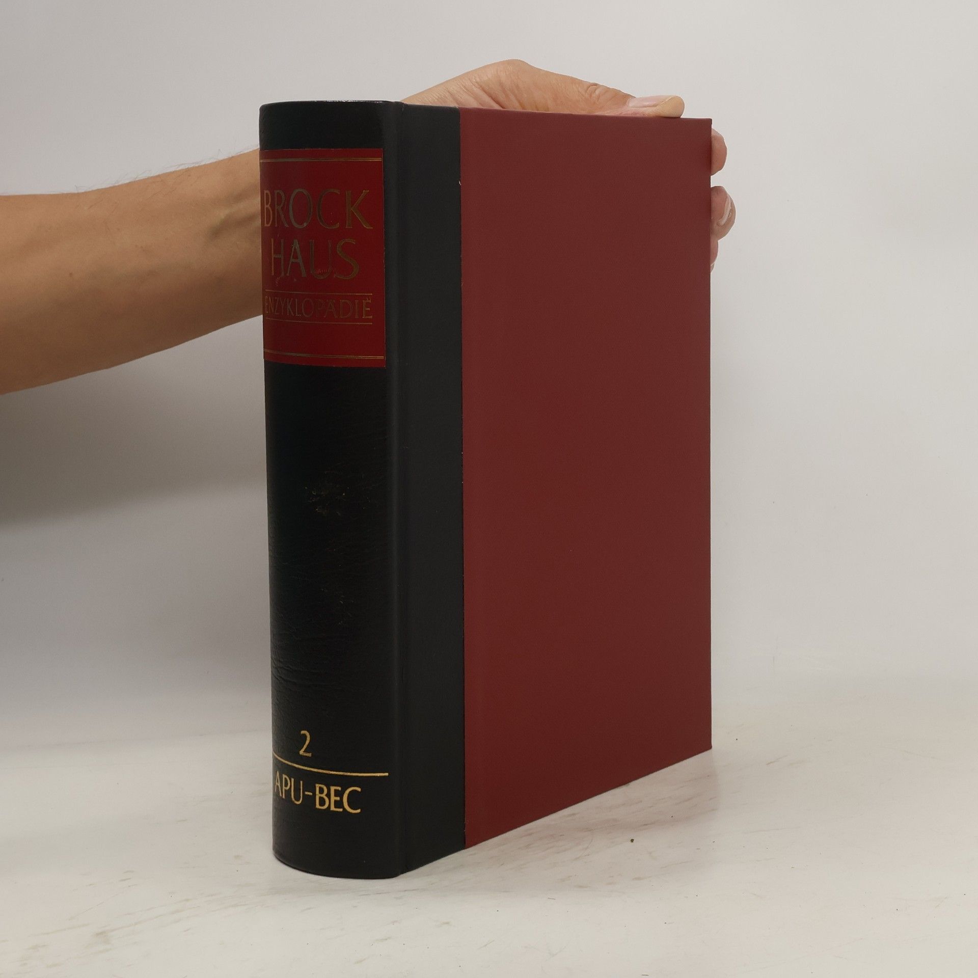 Collectif d'auteurs Brockhaus Enzyklopädie 2