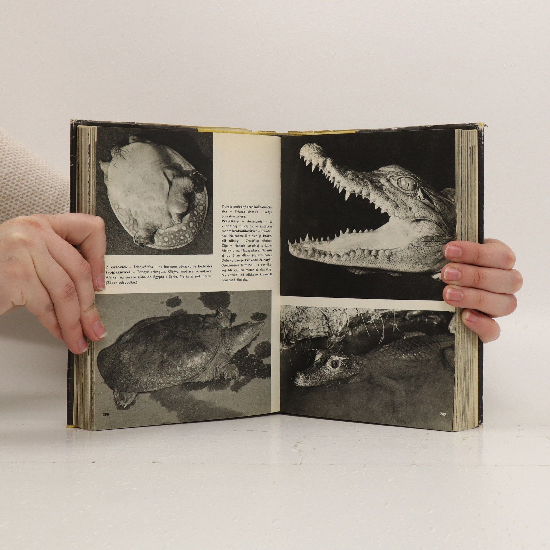 Václav Jan Staněk Veľký obrazový atlas zvierat