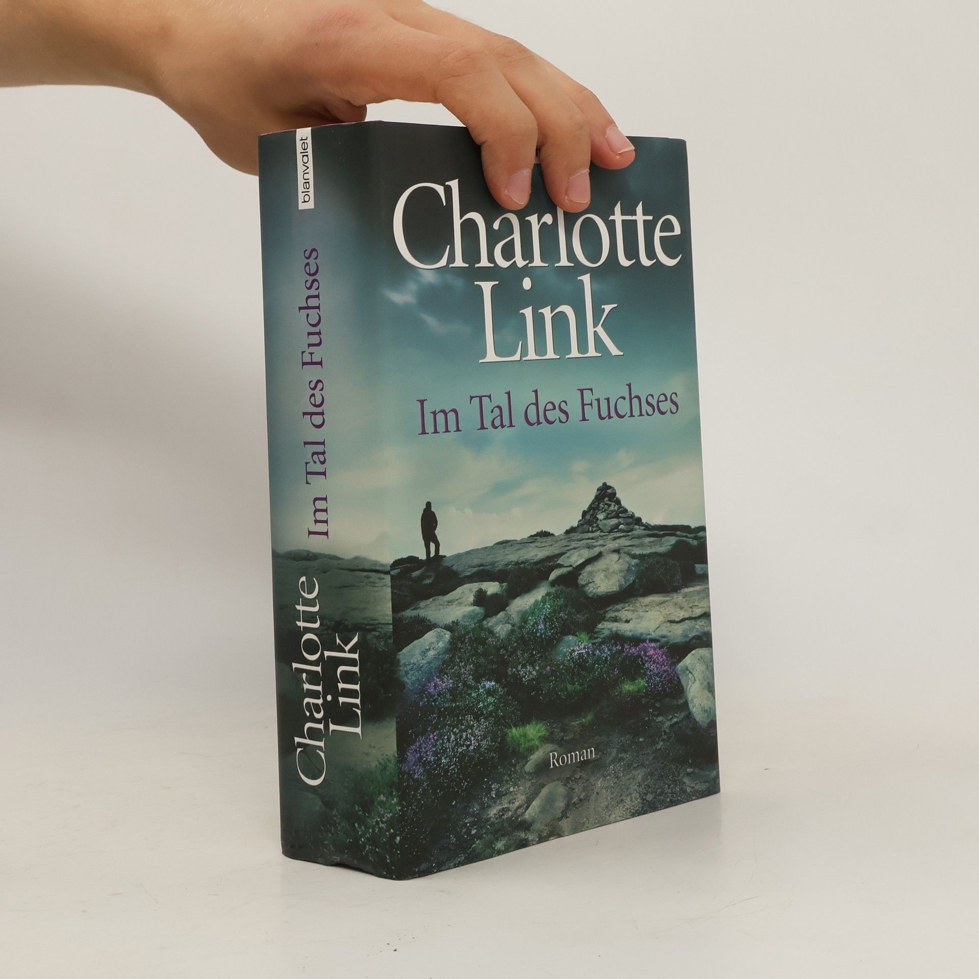 Charlotte Link Im Tal des Fuchses