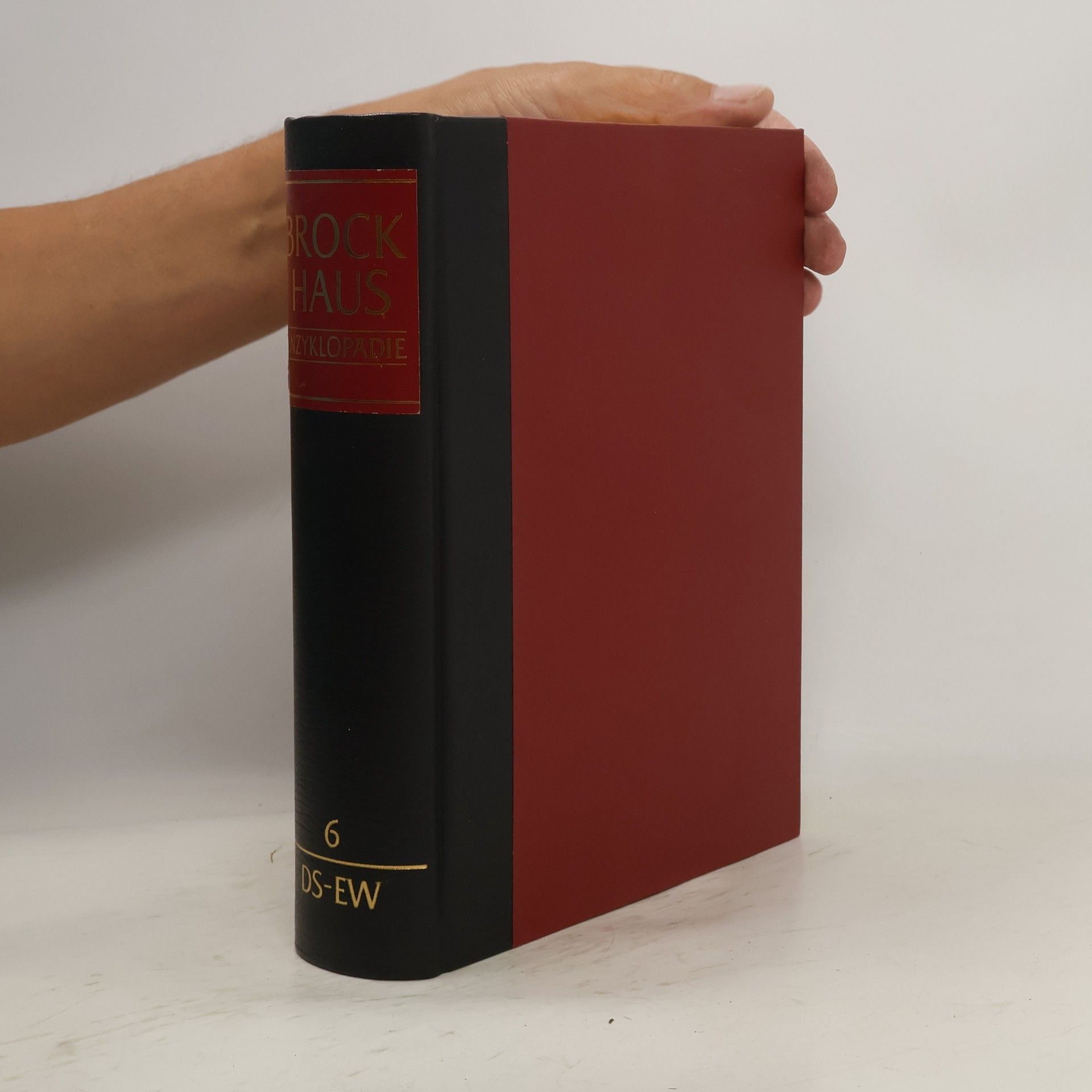 Autorenkollektiv Brockhaus Enzyklopädie. Band 6, Ds-Ew