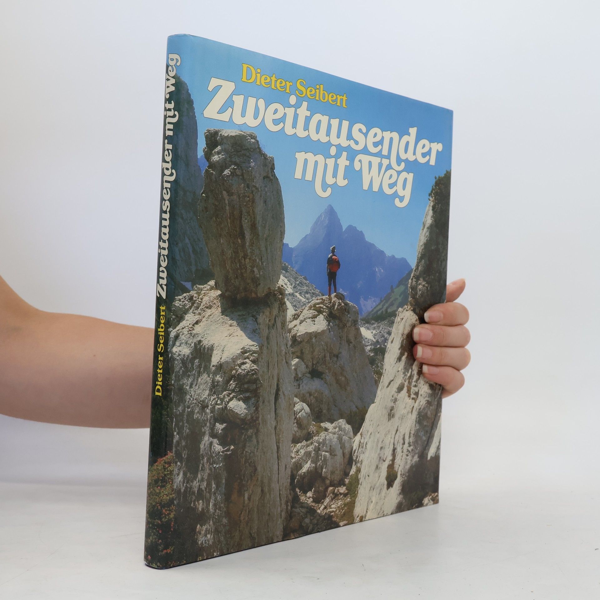 Dieter Seibert Zweitausender mit Weg