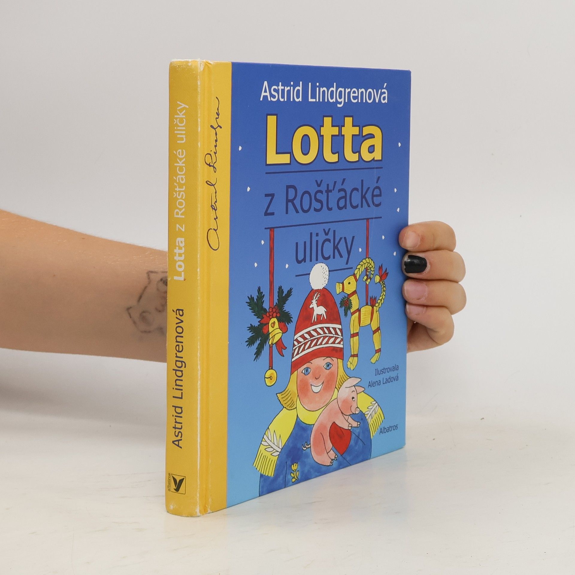 Karel Šebesta Lotta z Rošťácké uličky