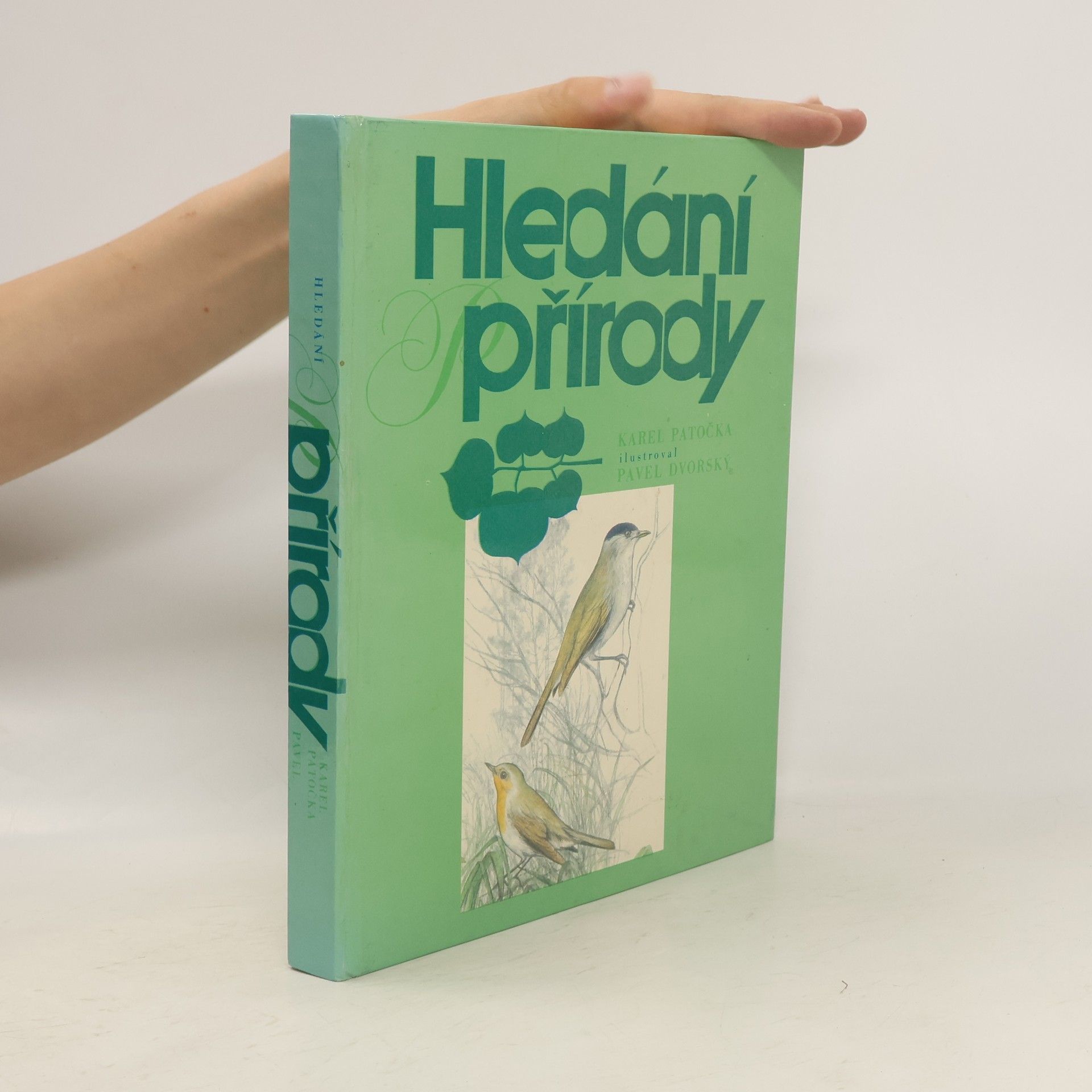 Karel Patočka Hledání přírody