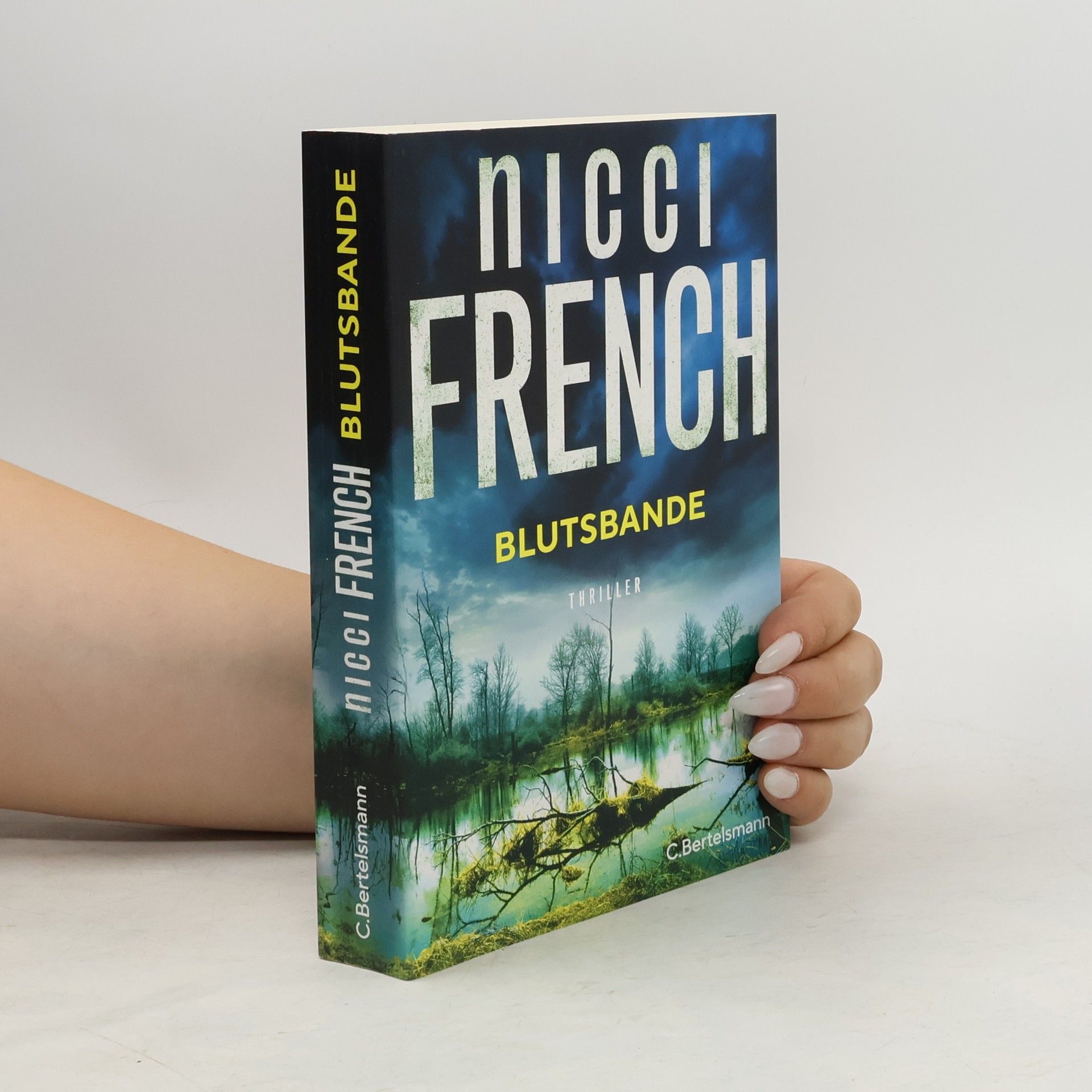 Nicci French Blutsbande