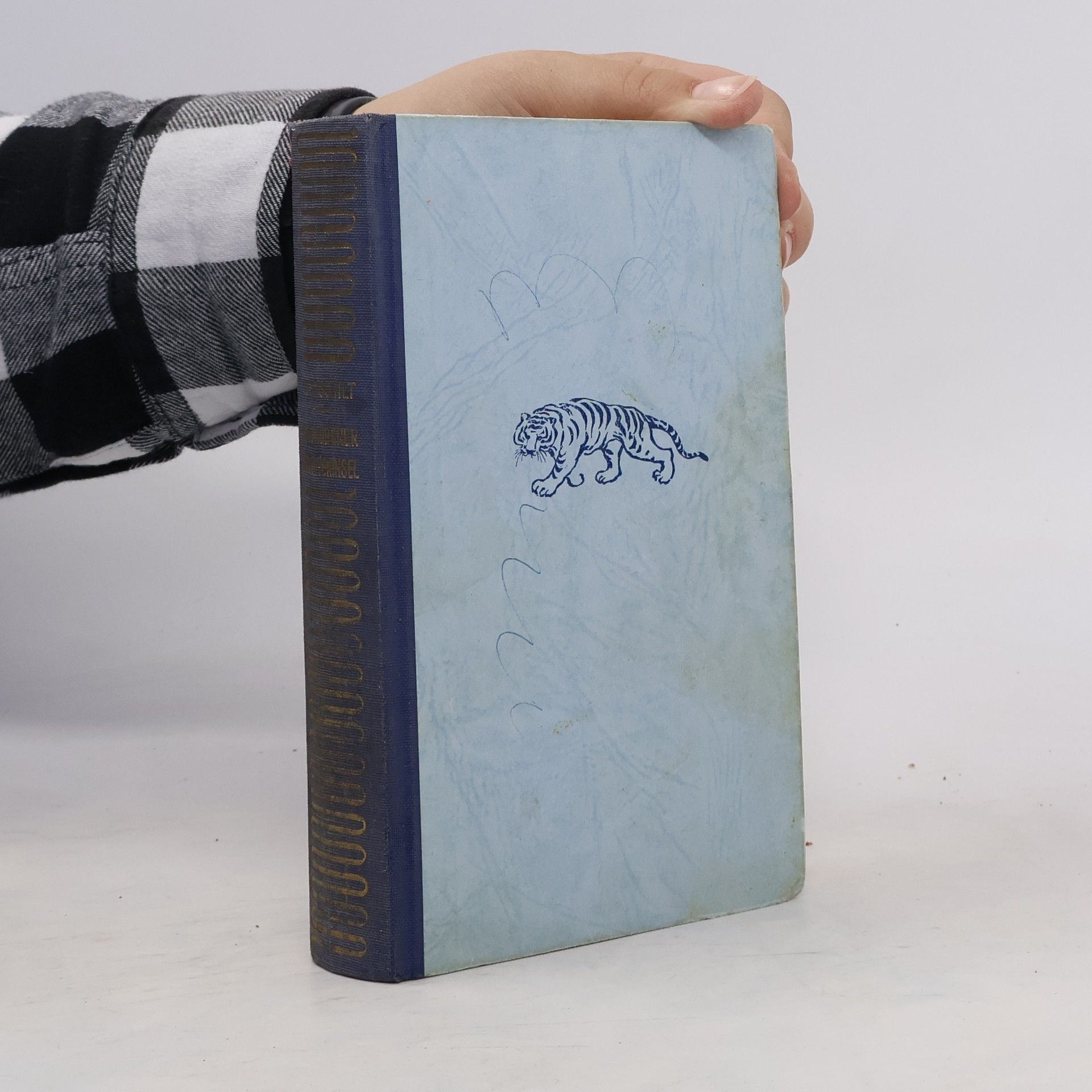 Otto Schilt Der Zauberer der Toteninsel