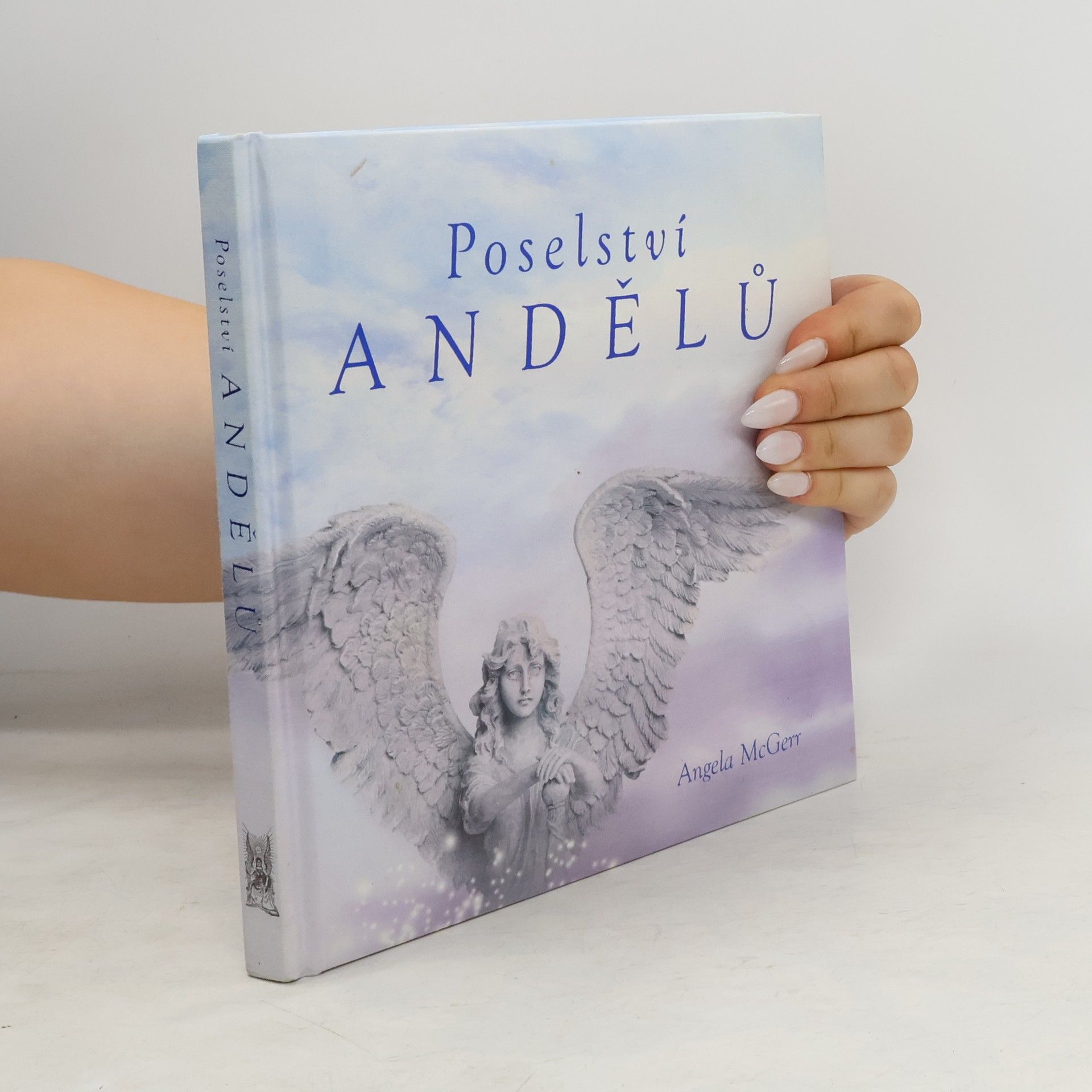 Angela McGerr Poselství andělů