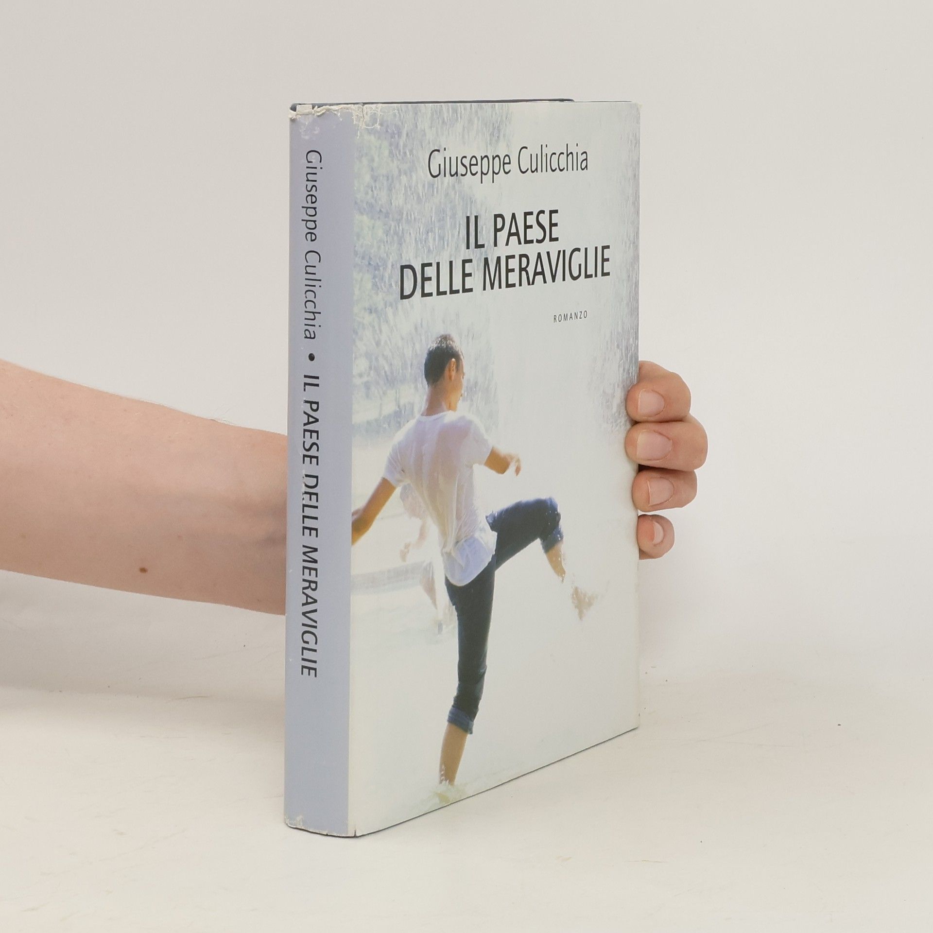 Giuseppe Culicchia Il Paese Delle Meraviglie
