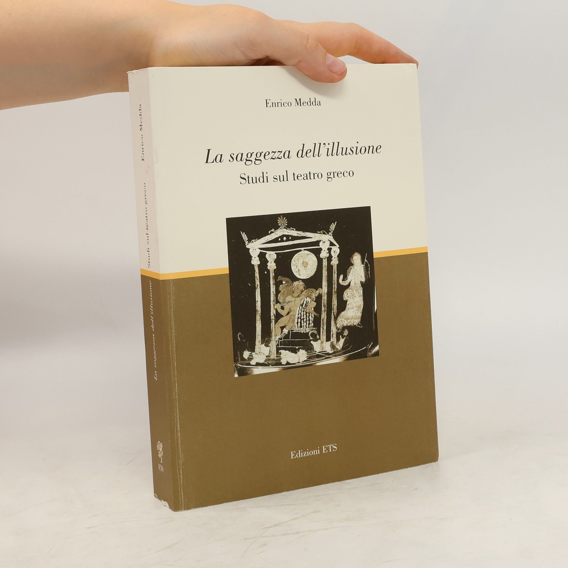 Enrico Medda La saggezza dell'illusione