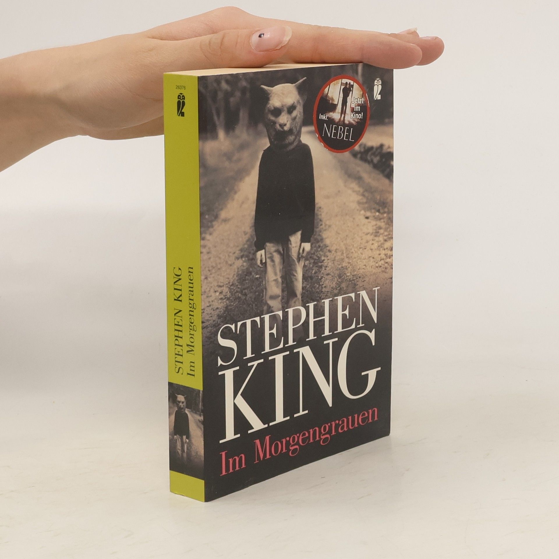 Stephen King Im Morgengrauen