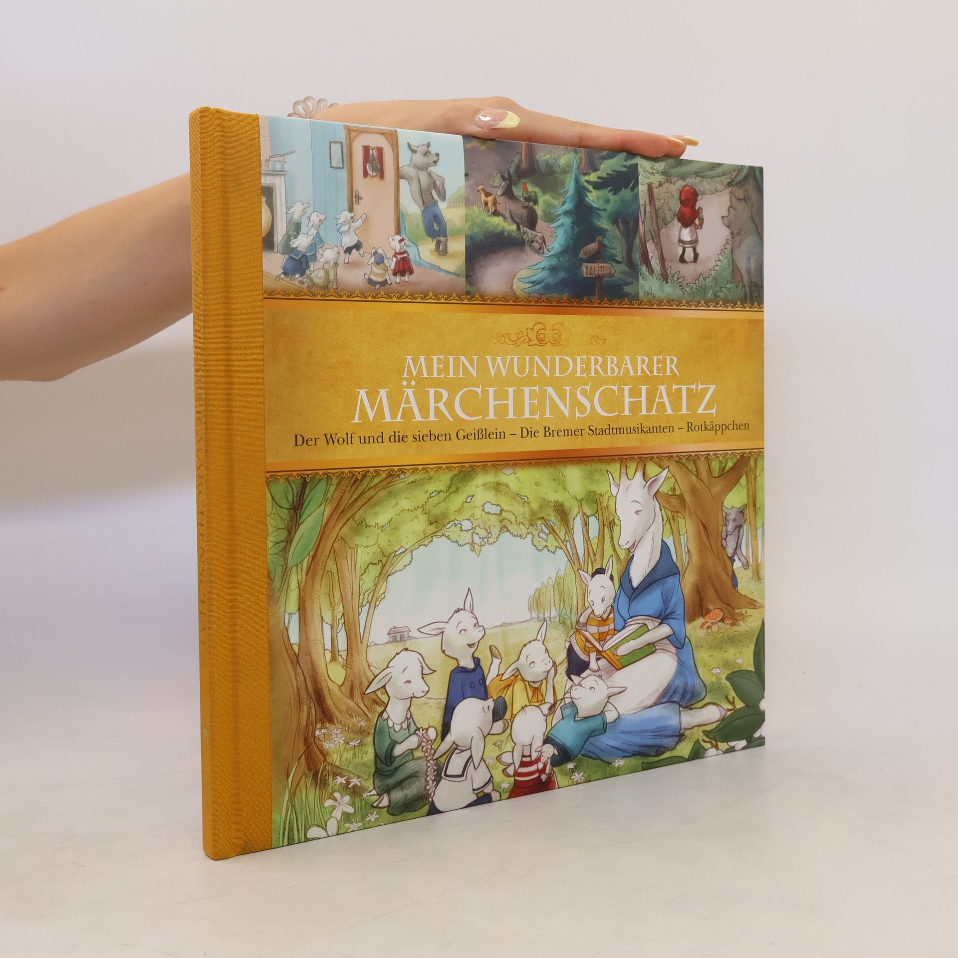 Kolektív autorov Mein Winderbarer Märchenschatz