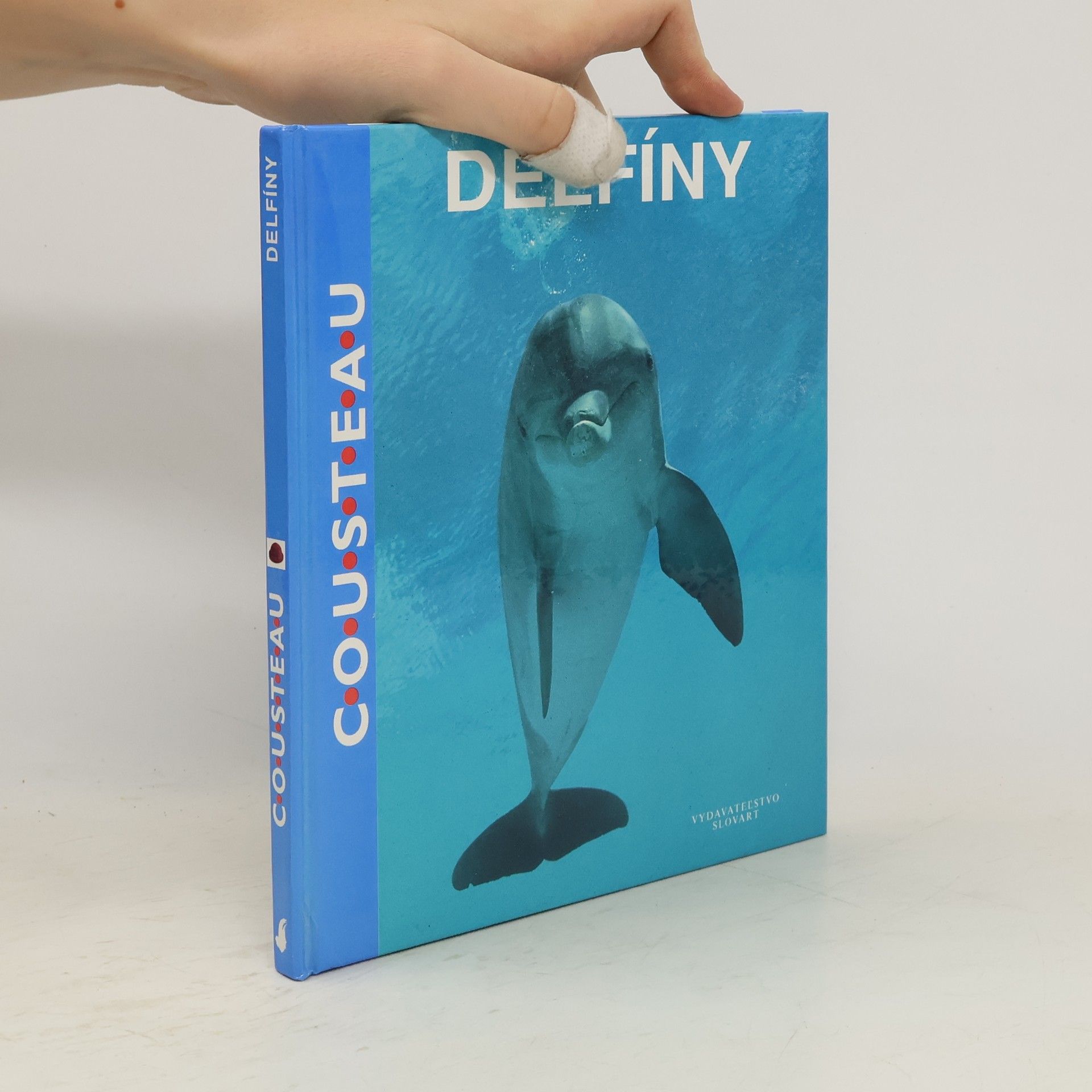 Autorenkollektiv Delfíny