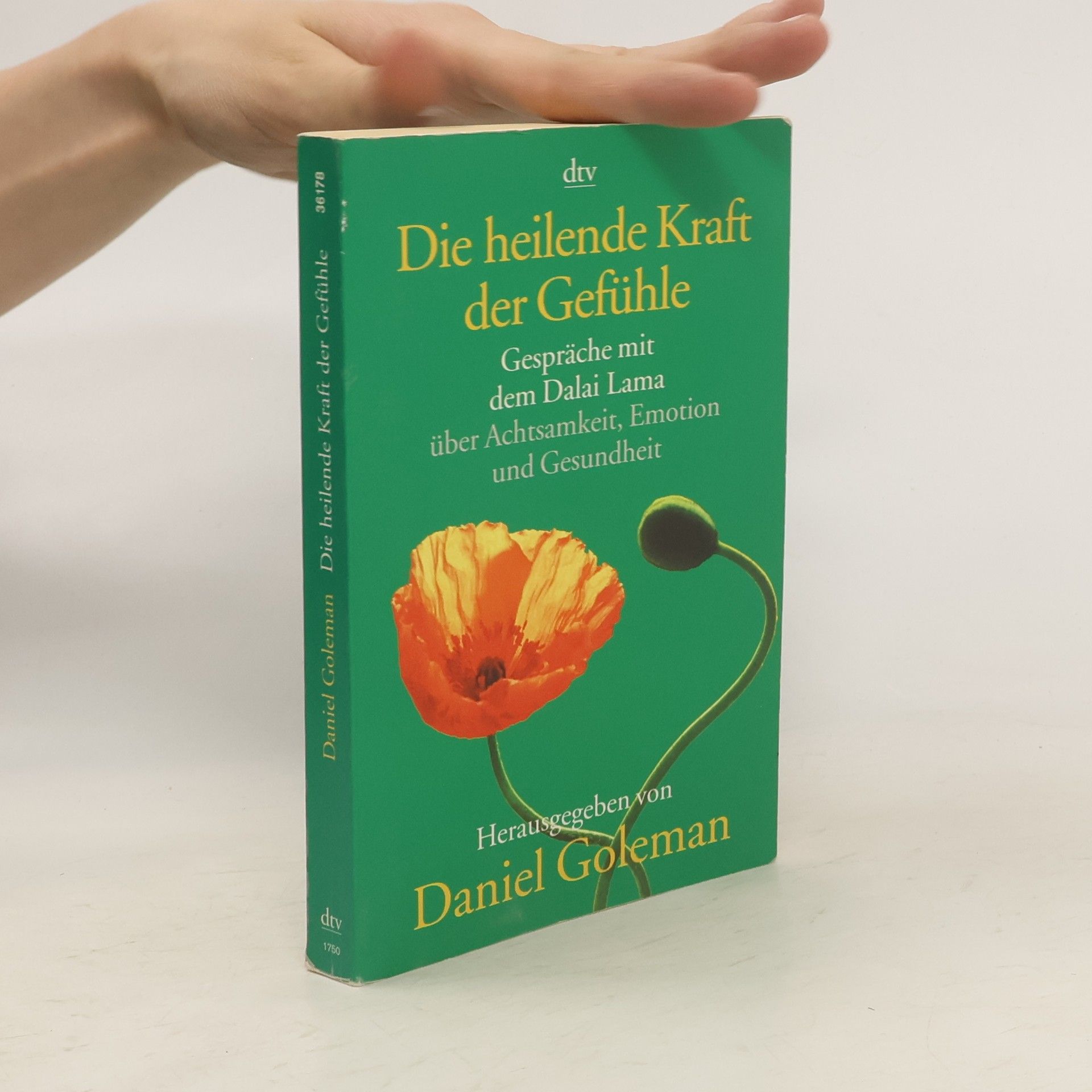 Bstan-vdzin-rgya-mtsho Die heilende Kraft der Gefühle