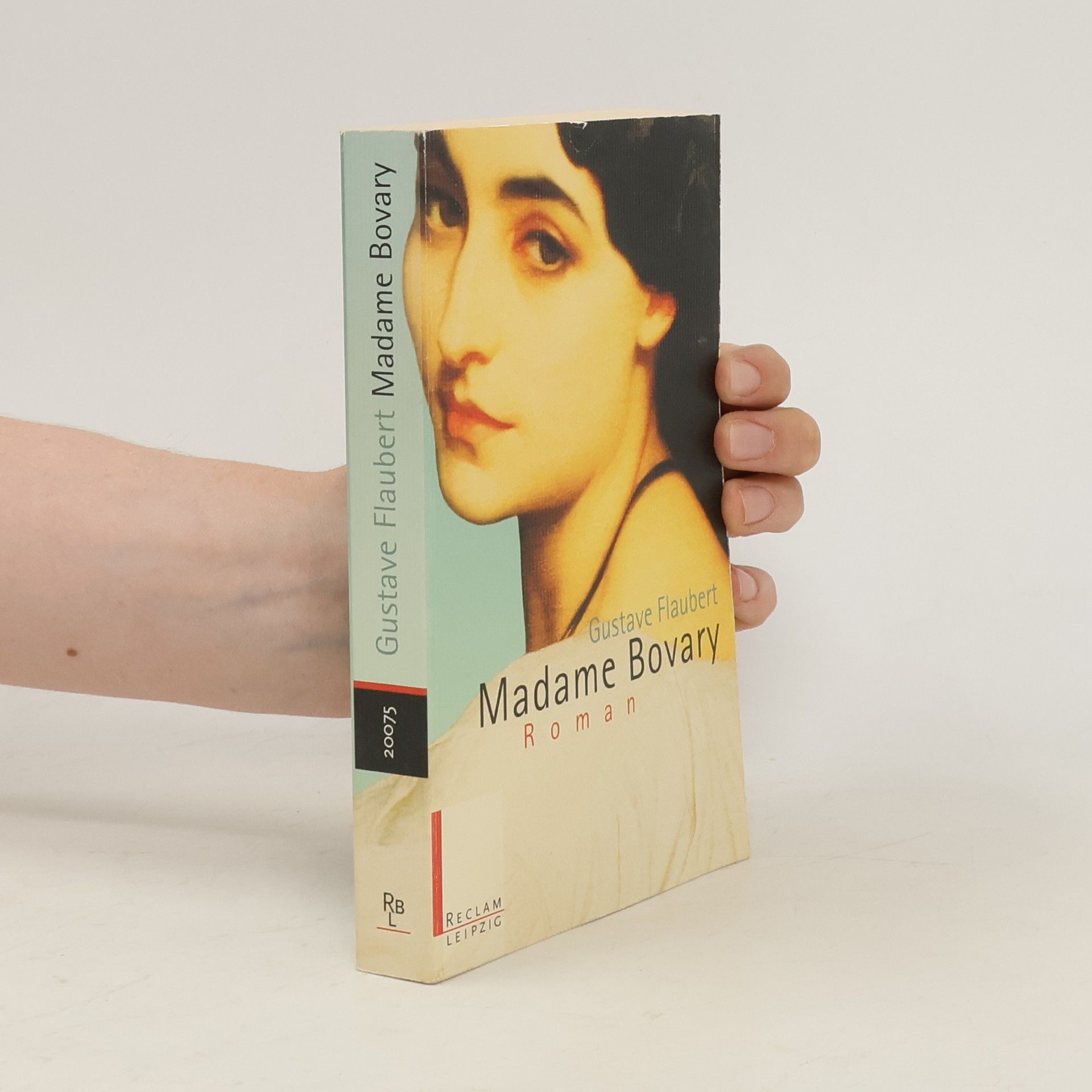 Gustave Flaubert Madame Bovary