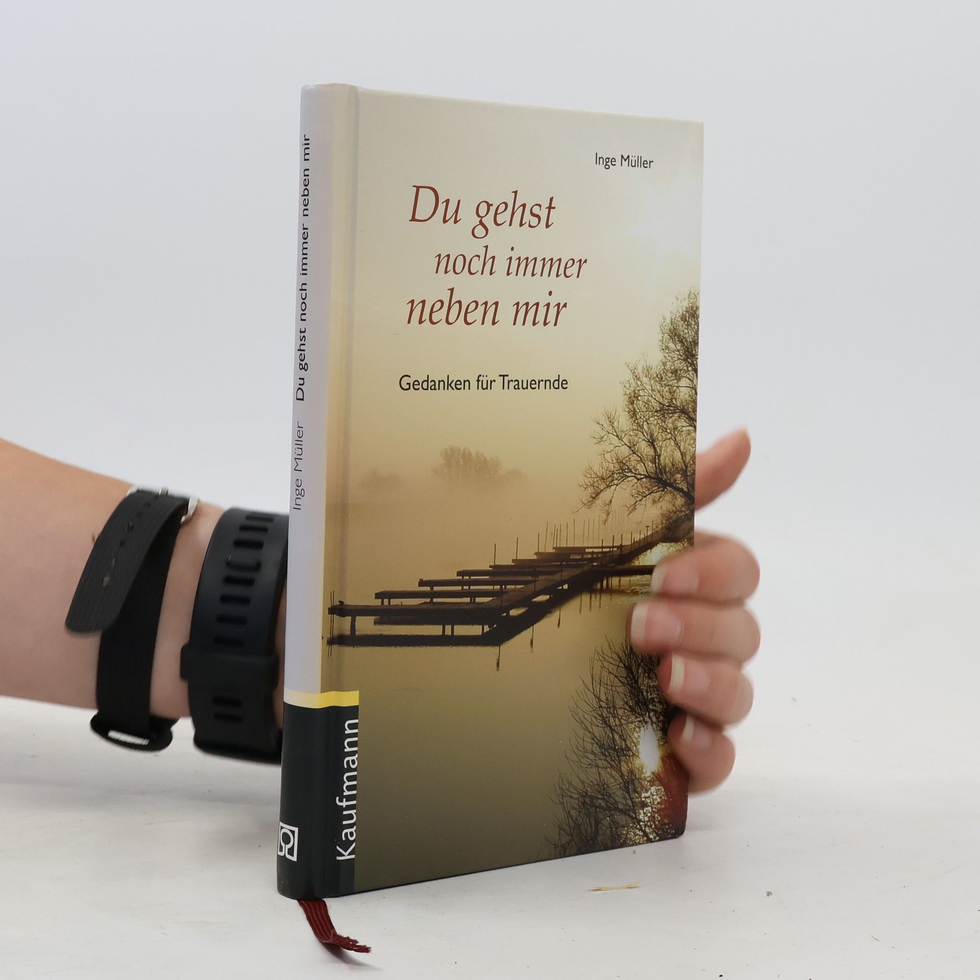 Inge Müller Du gehst noch immer neben mir
