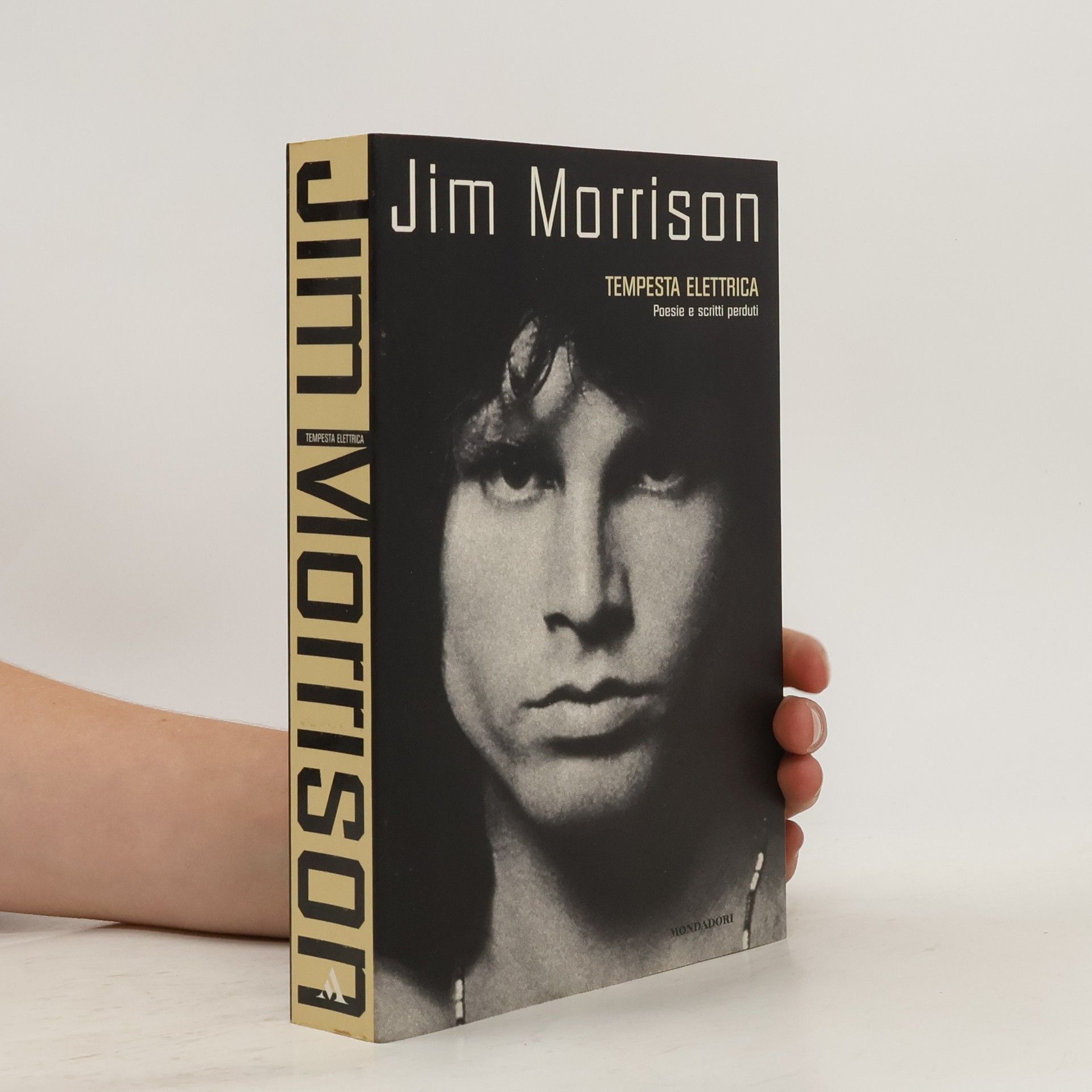 Jim Morrison Tempesta elettrica